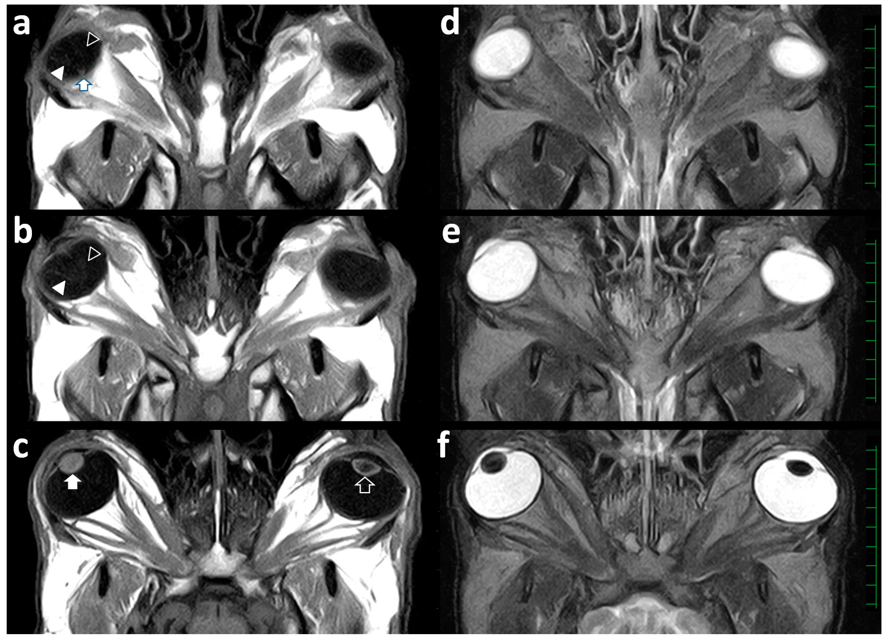 Ruminants 04 00008 g003
