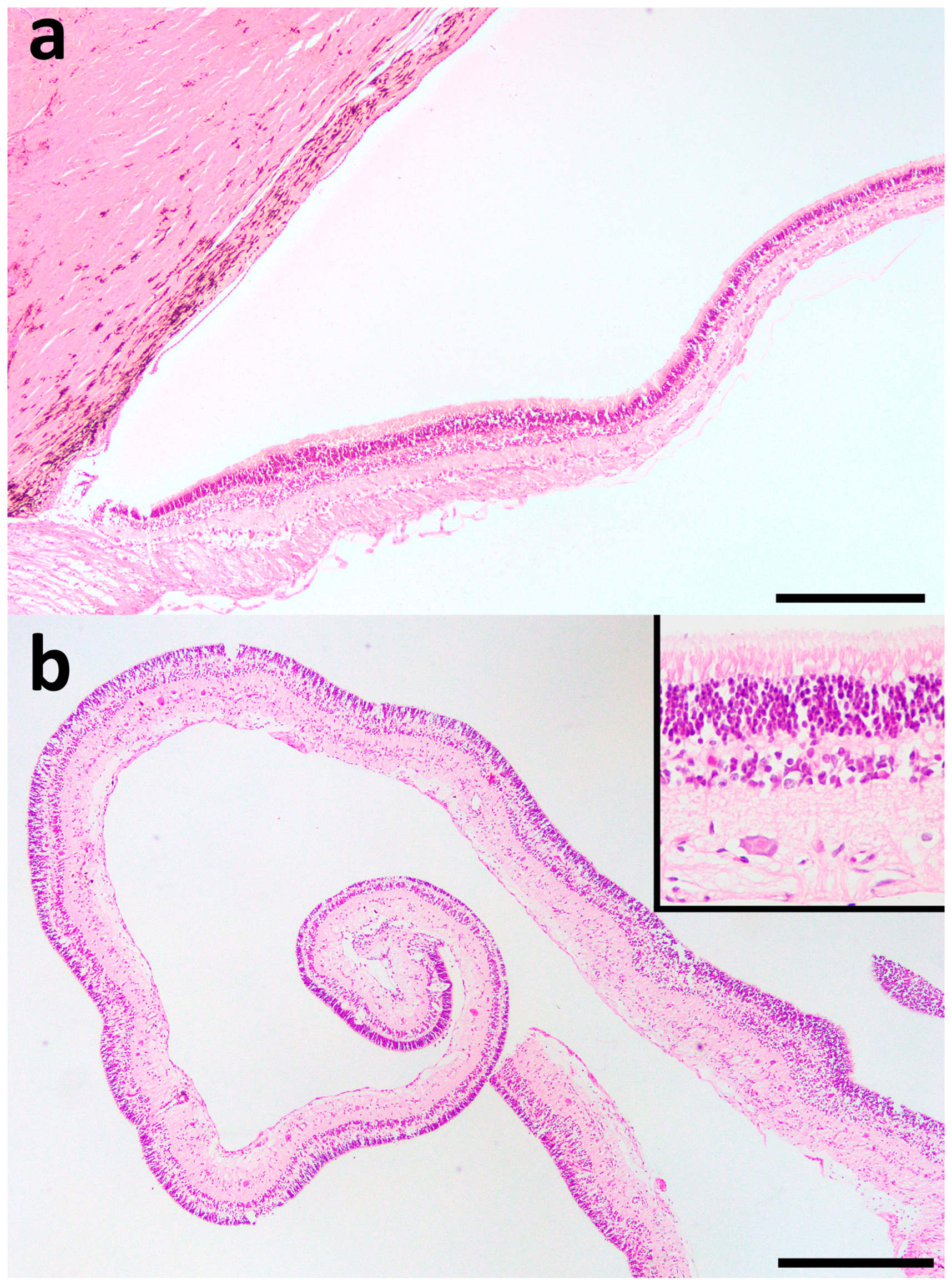 Ruminants 04 00008 g005
