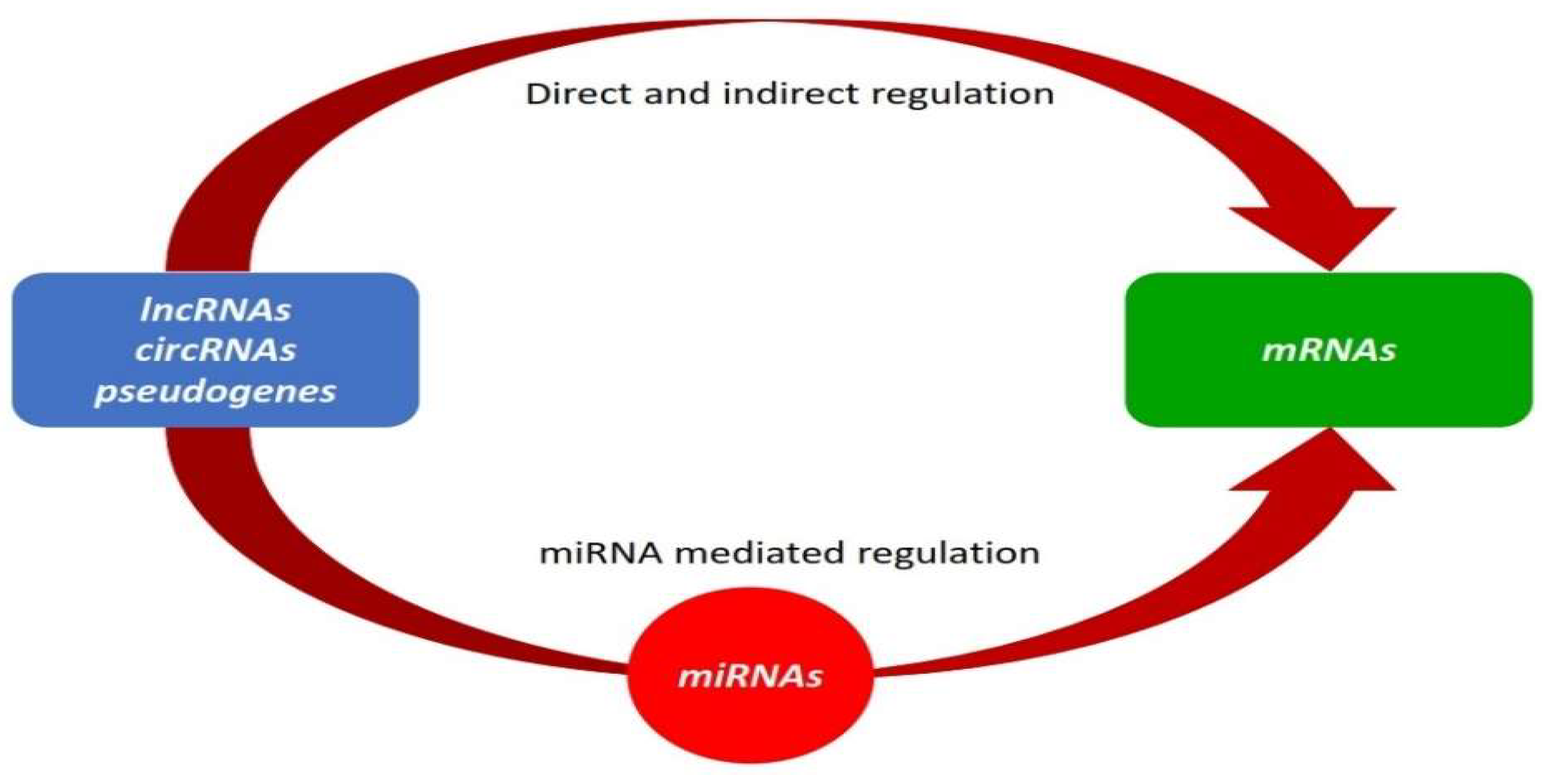 Ruminants 04 00011 g001