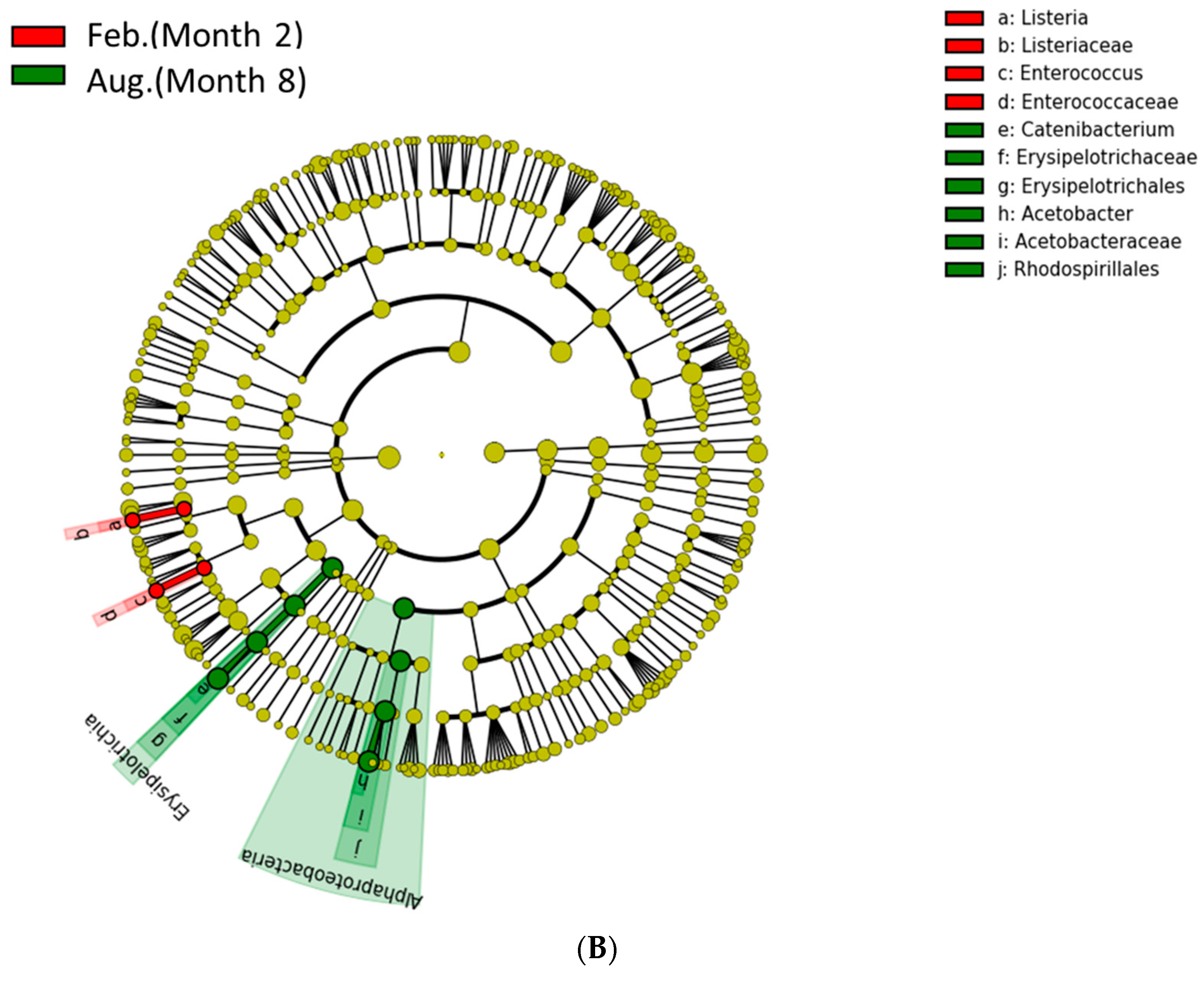 Ruminants 04 00021 g005b