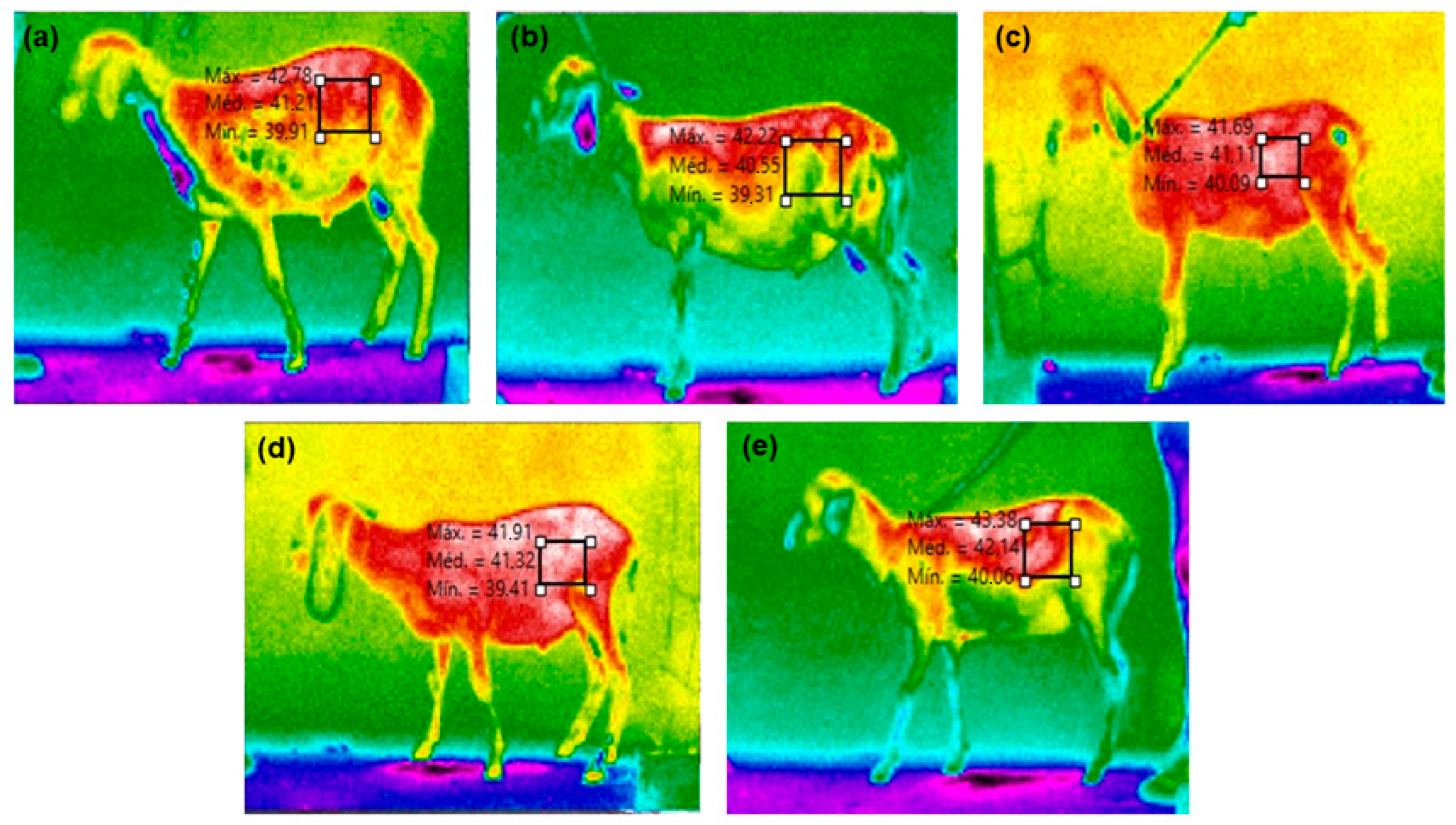 Ruminants 04 00031 g002