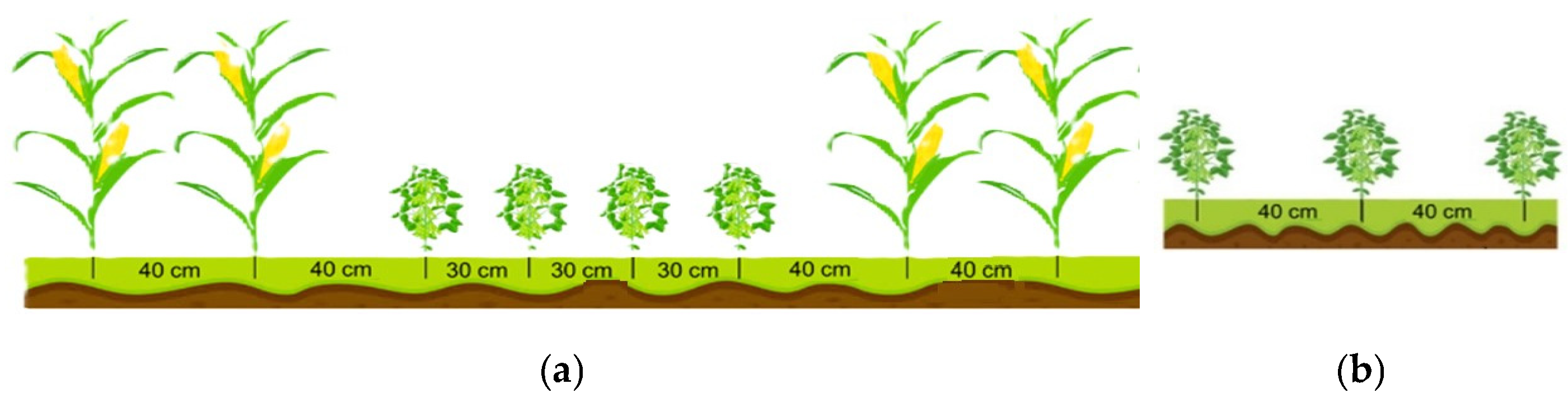 Ruminants 04 00041 g001