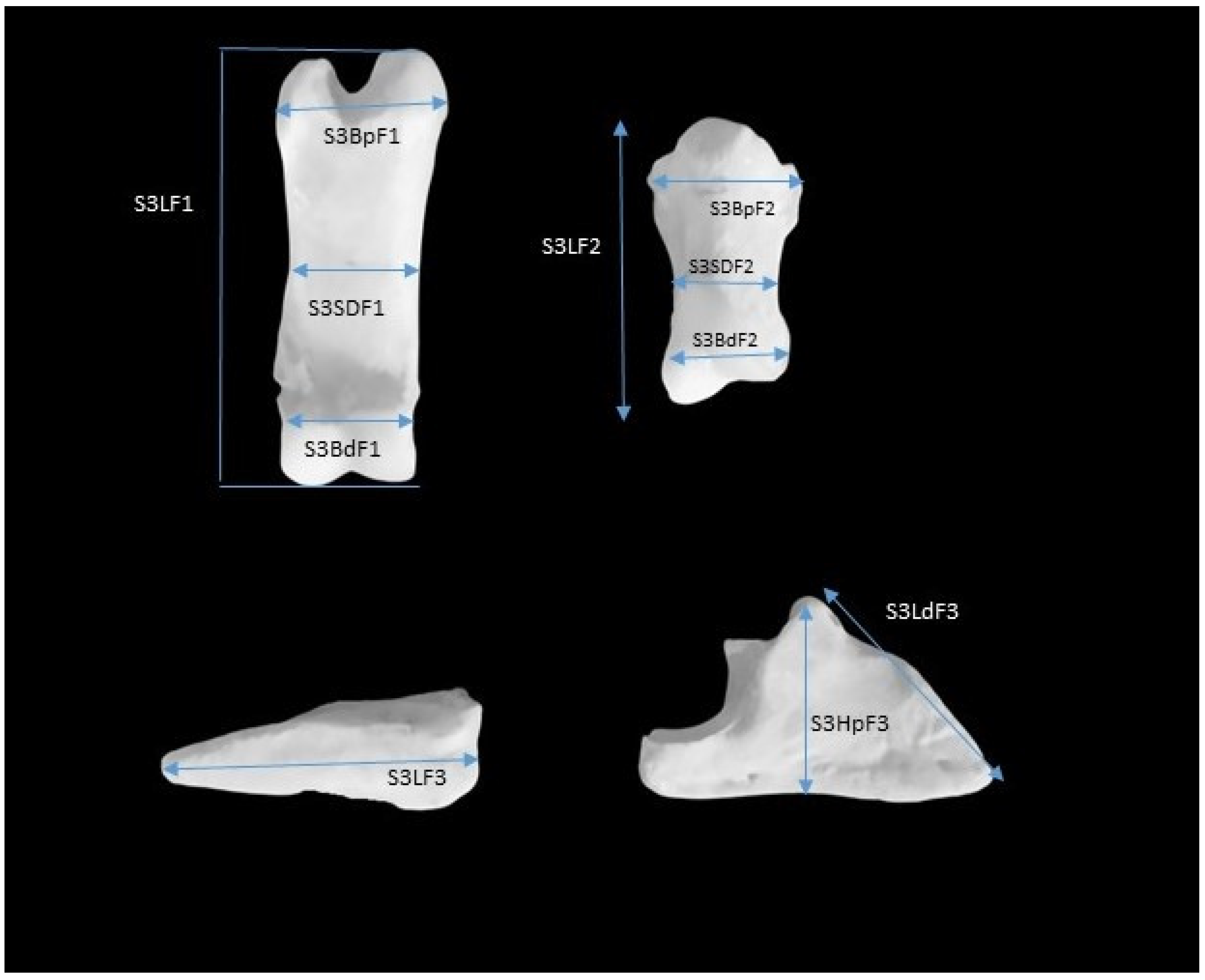 Ruminants 05 00013 g001