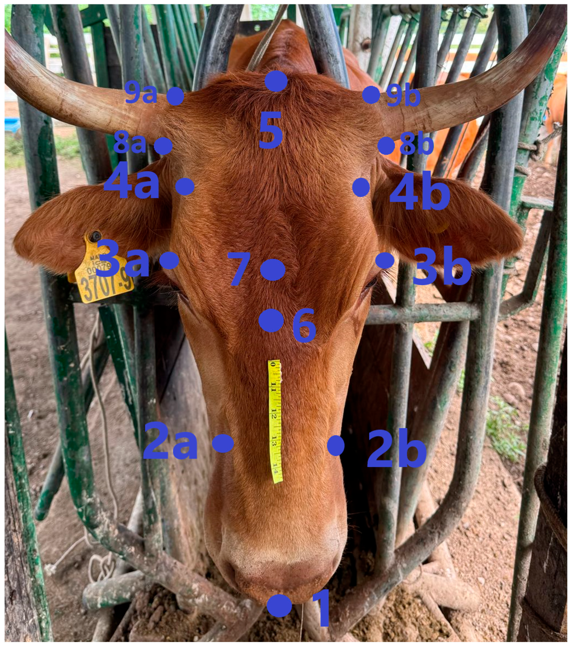 Ruminants 05 00033 g001