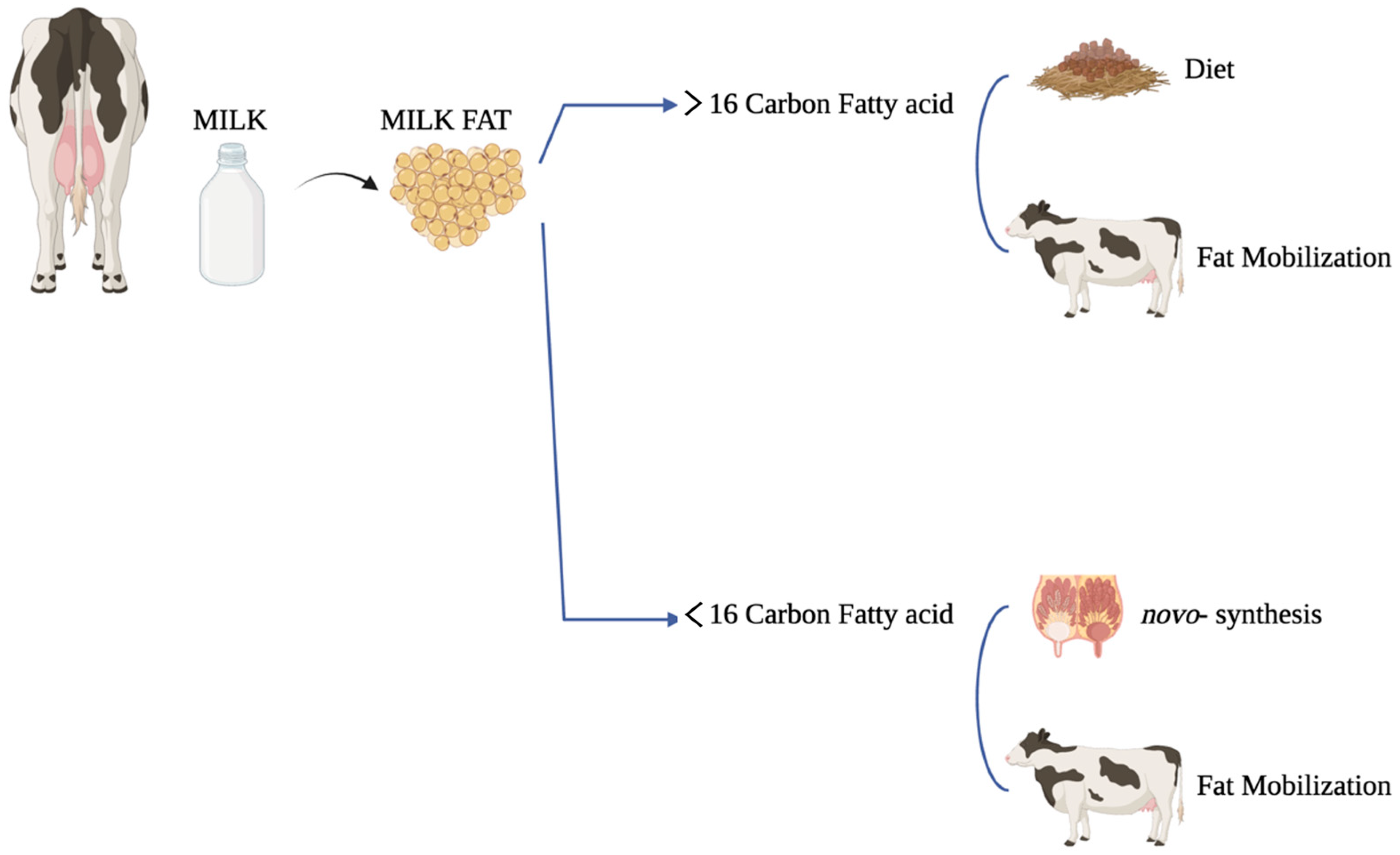 Ruminants 05 00038 g001