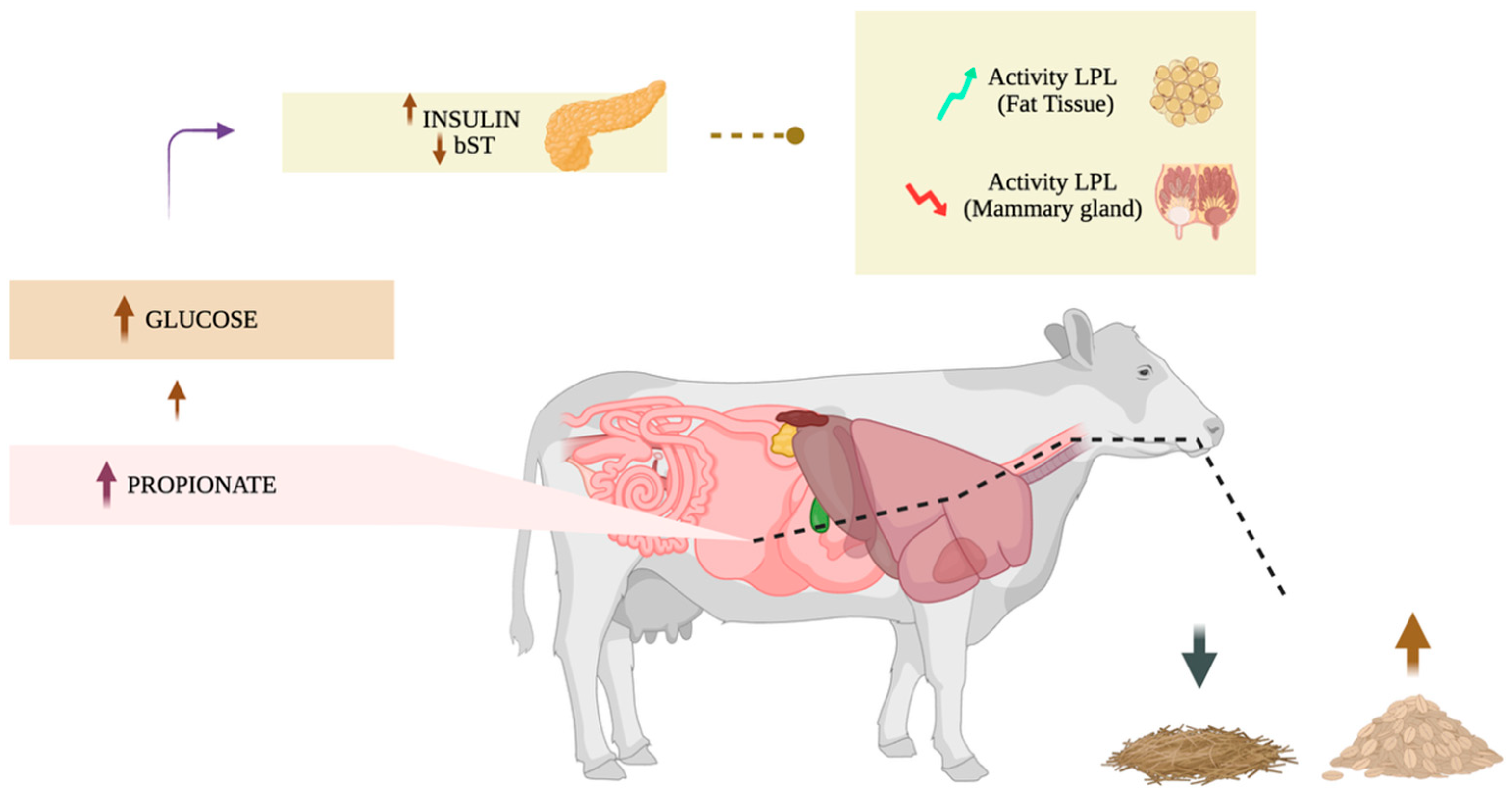 Ruminants 05 00038 g002