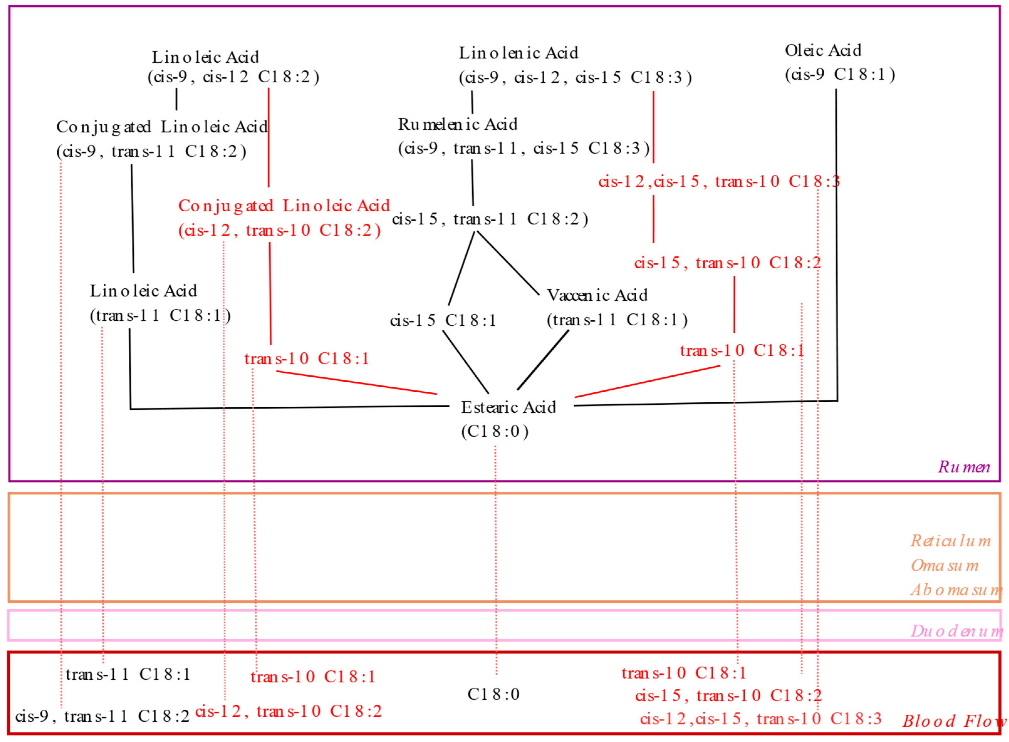Ruminants 05 00038 g003