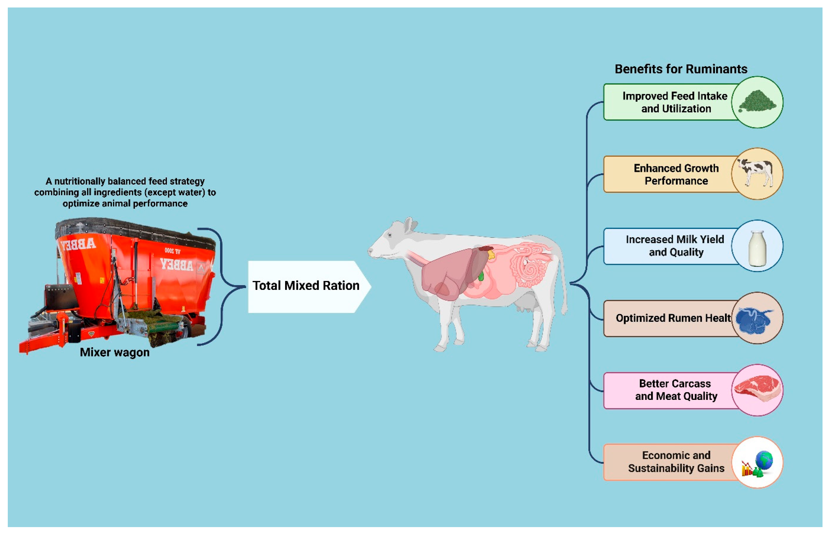 Ruminants 05 00042 g001 Ruminants 05 00042 g001