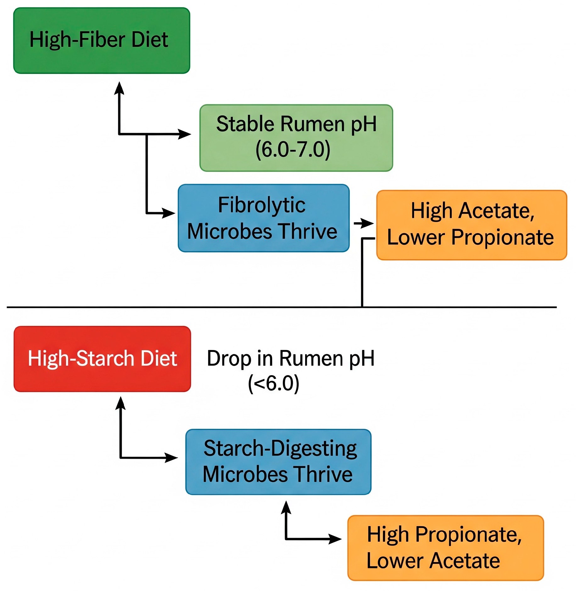 Ruminants 05 00042 g004 Ruminants 05 00042 g004