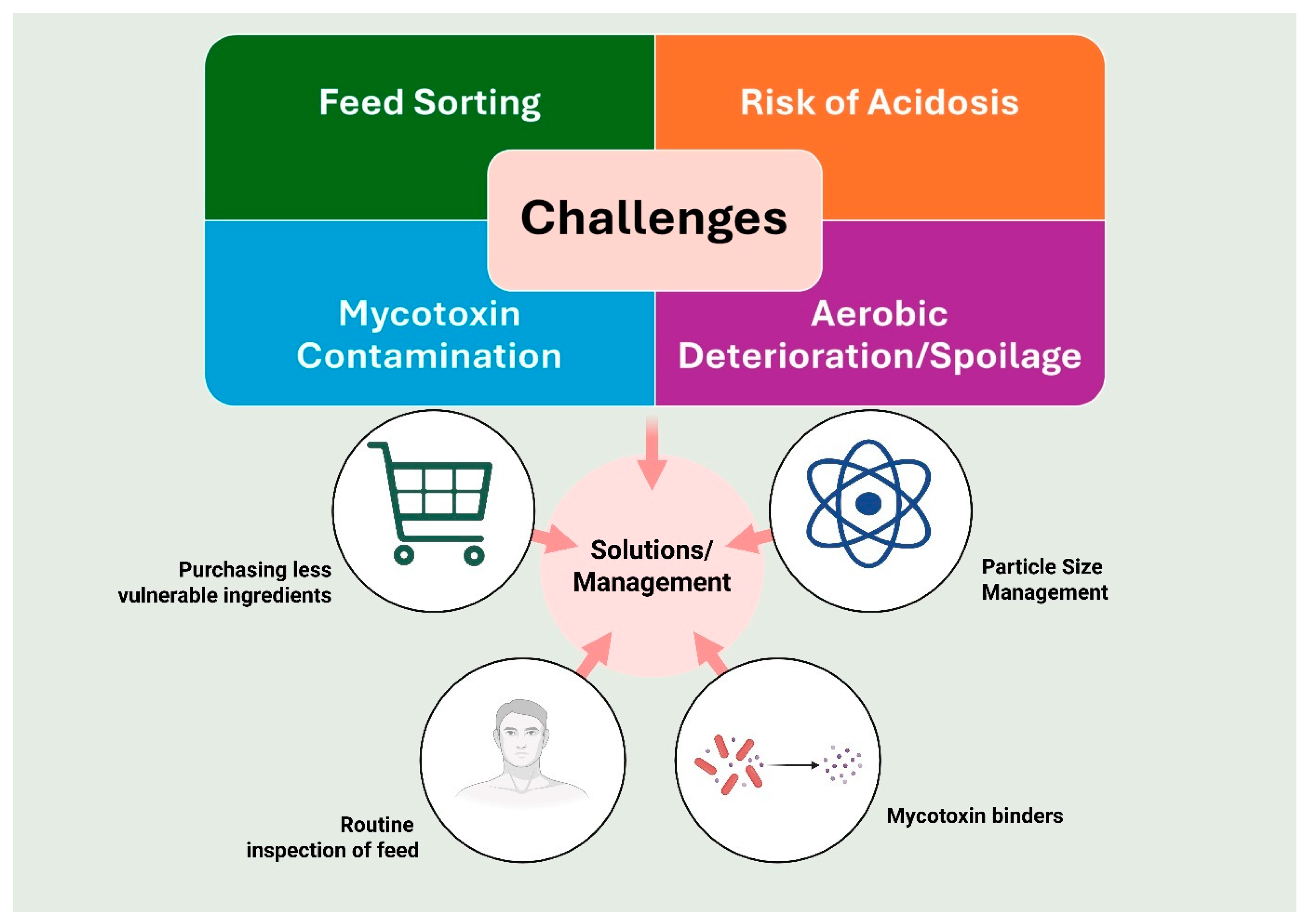 Ruminants 05 00042 g005 Ruminants 05 00042 g005