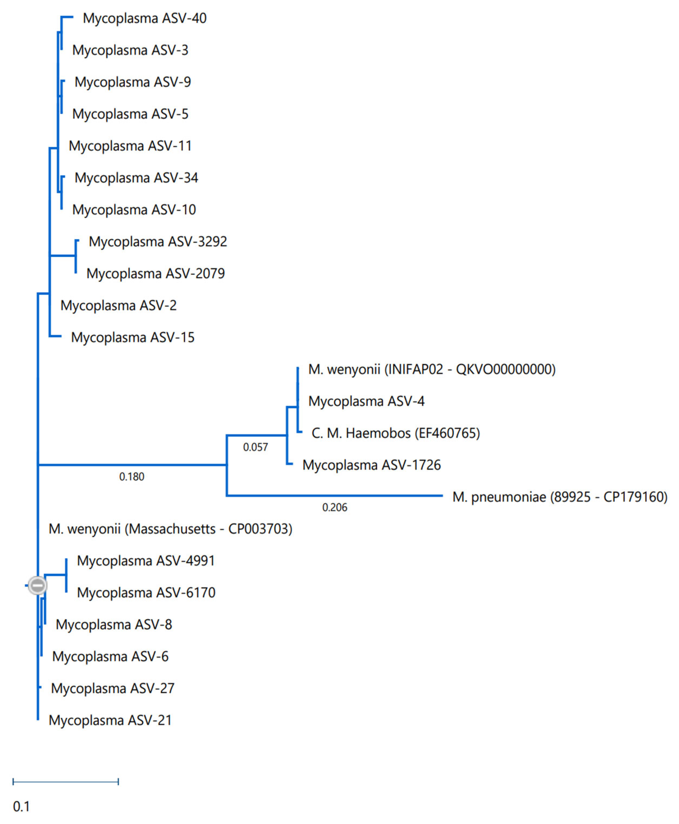 Ruminants 05 00045 g005