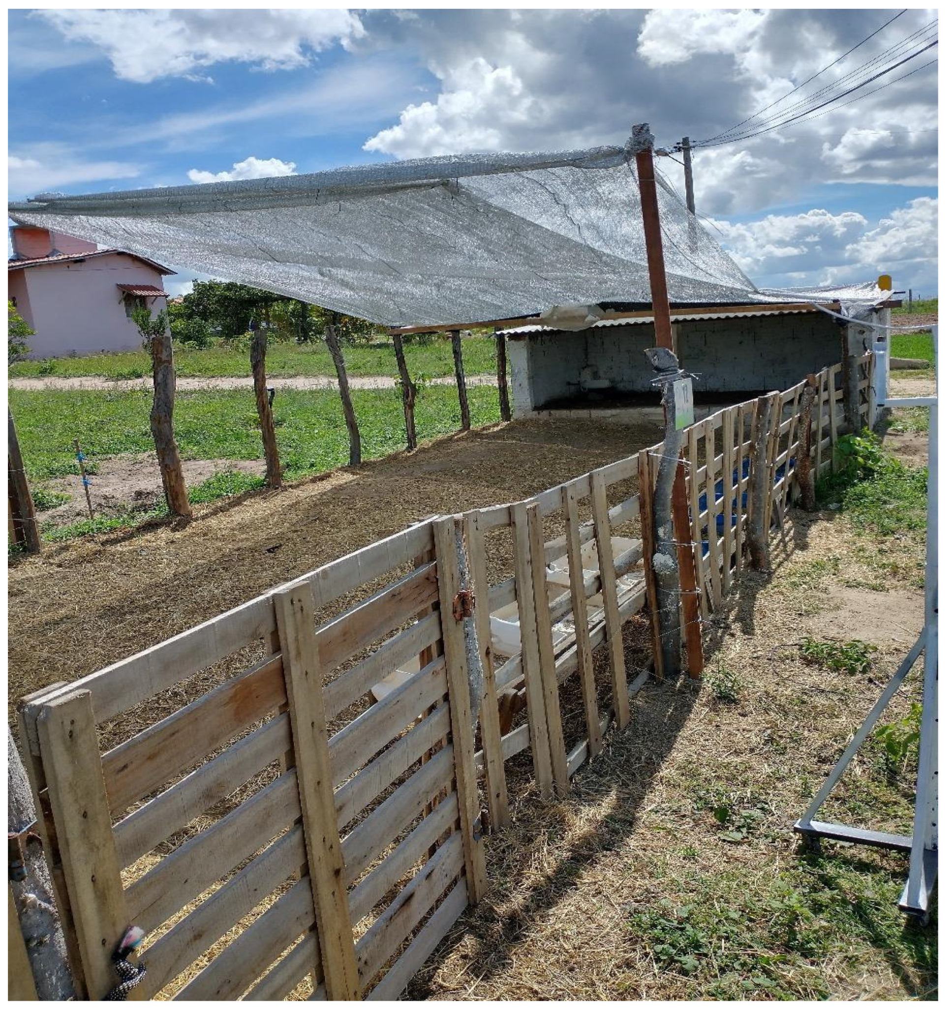 Ruminants 05 00061 g001