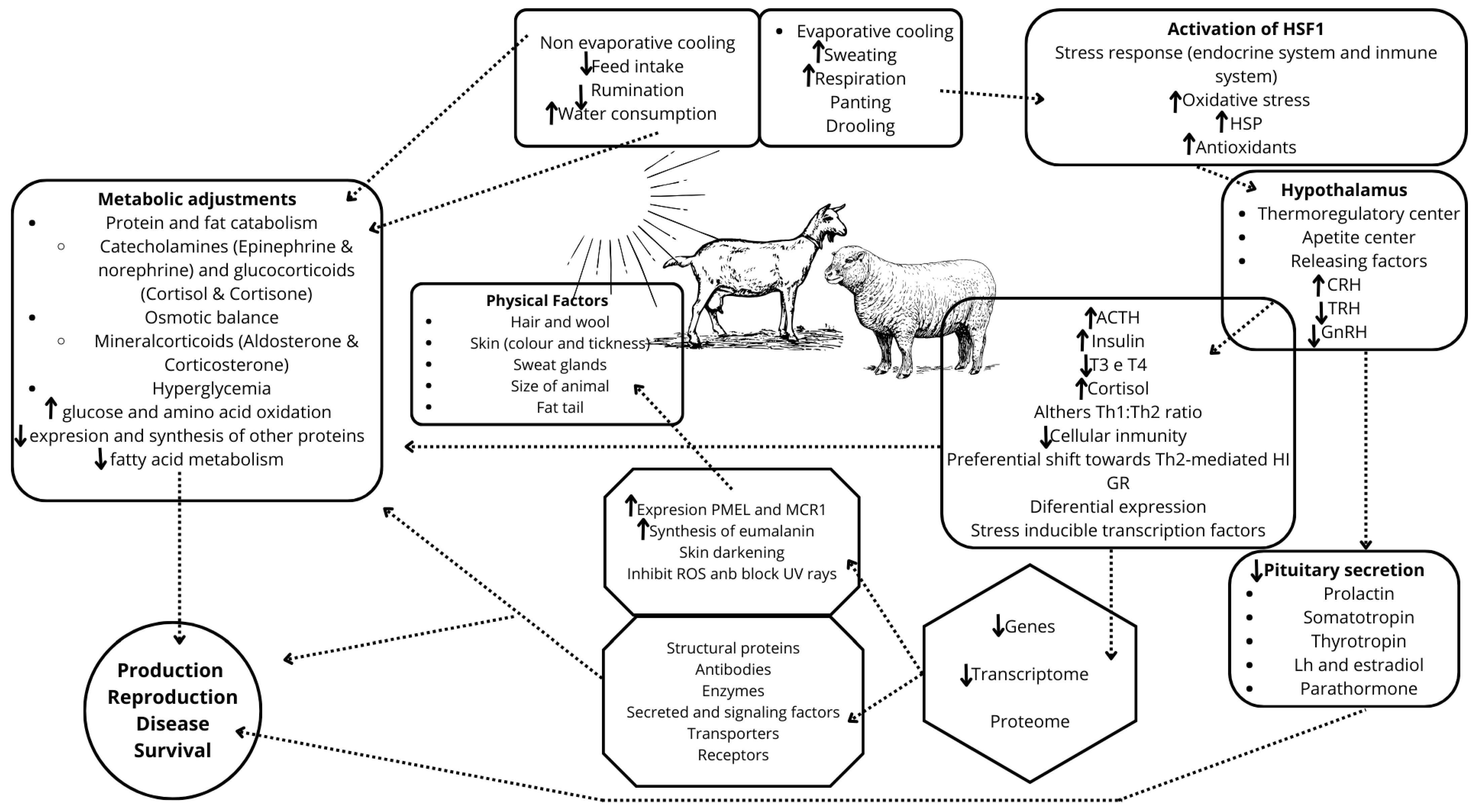 Ruminants 05 00063 g002 Ruminants 05 00063 g002