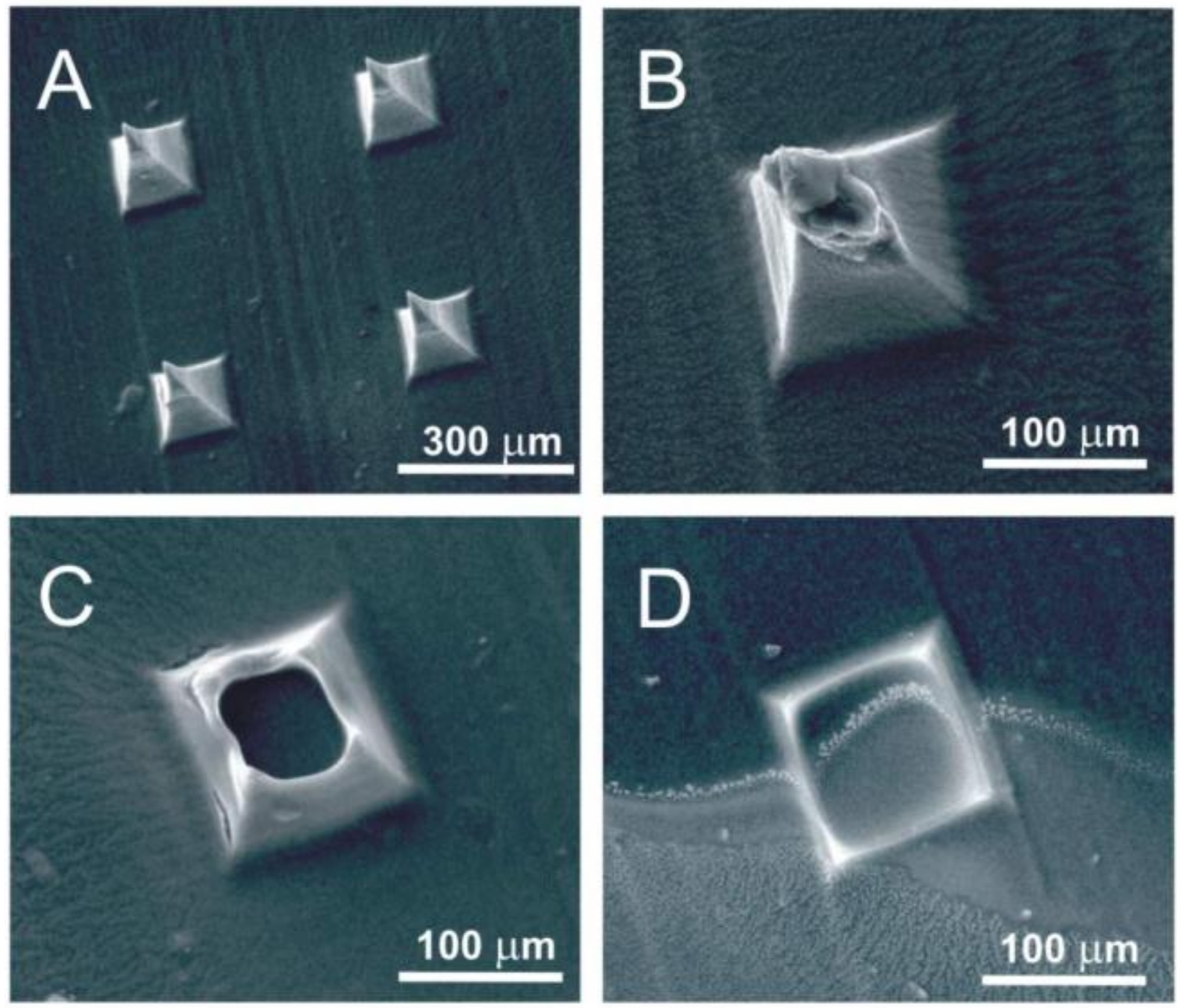 Safety 03 00025 g003