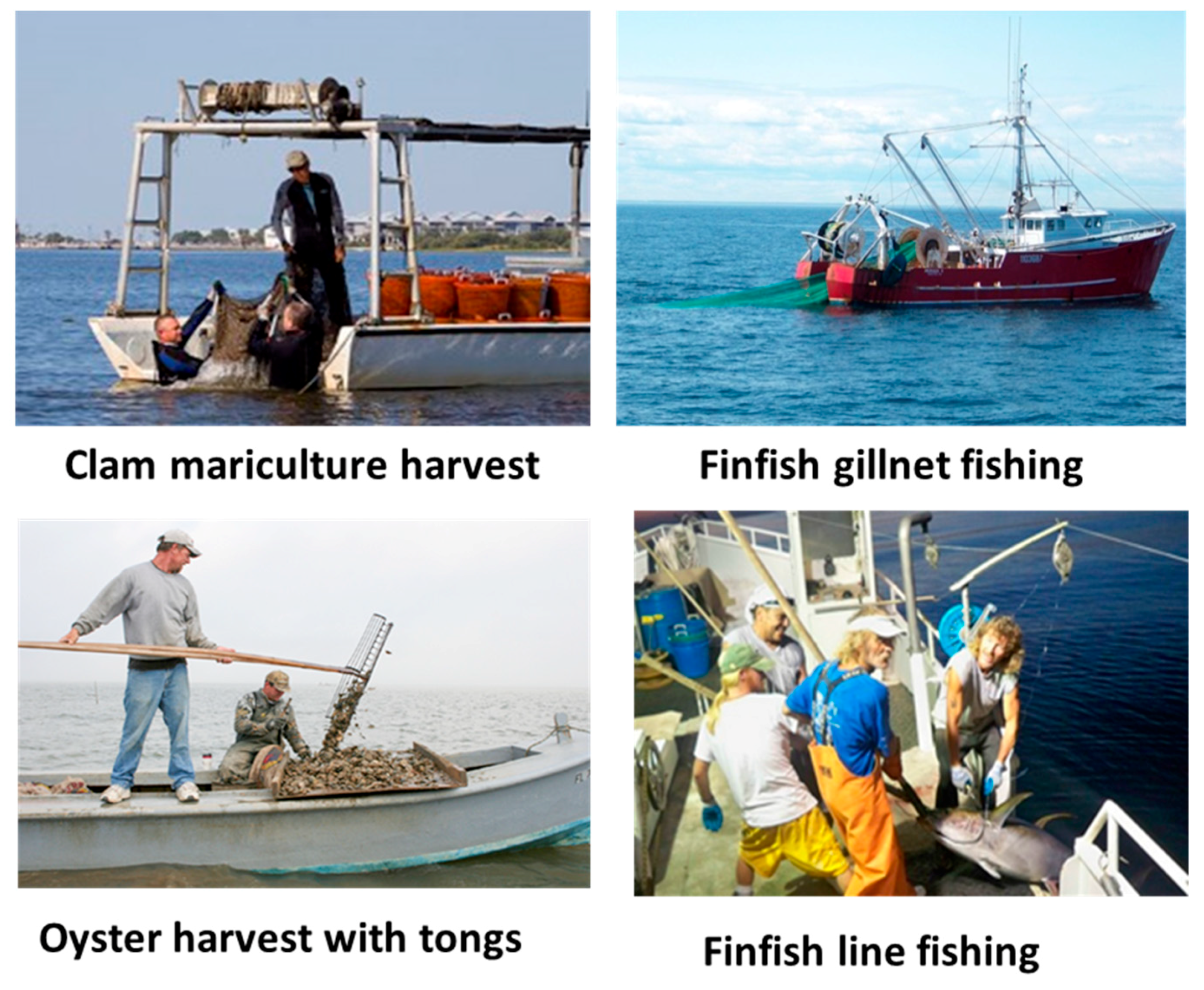Dynamic Ship Simulator Iii Fishing