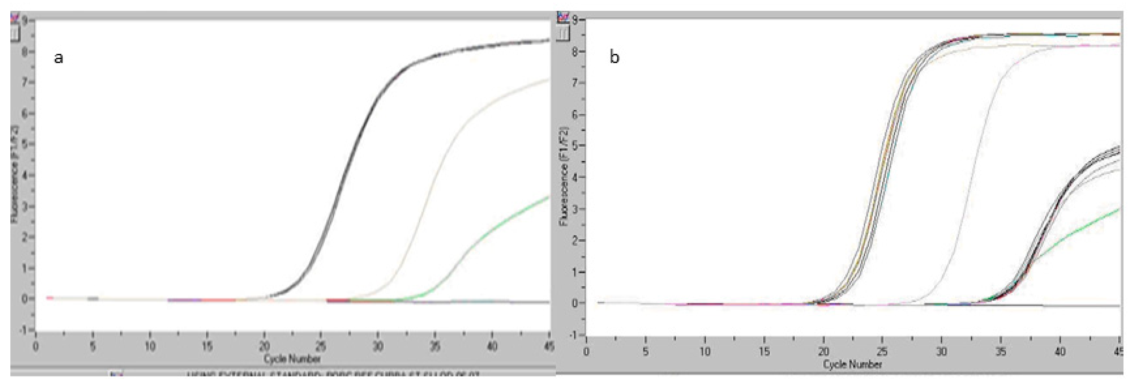 Safety 05 00083 g003