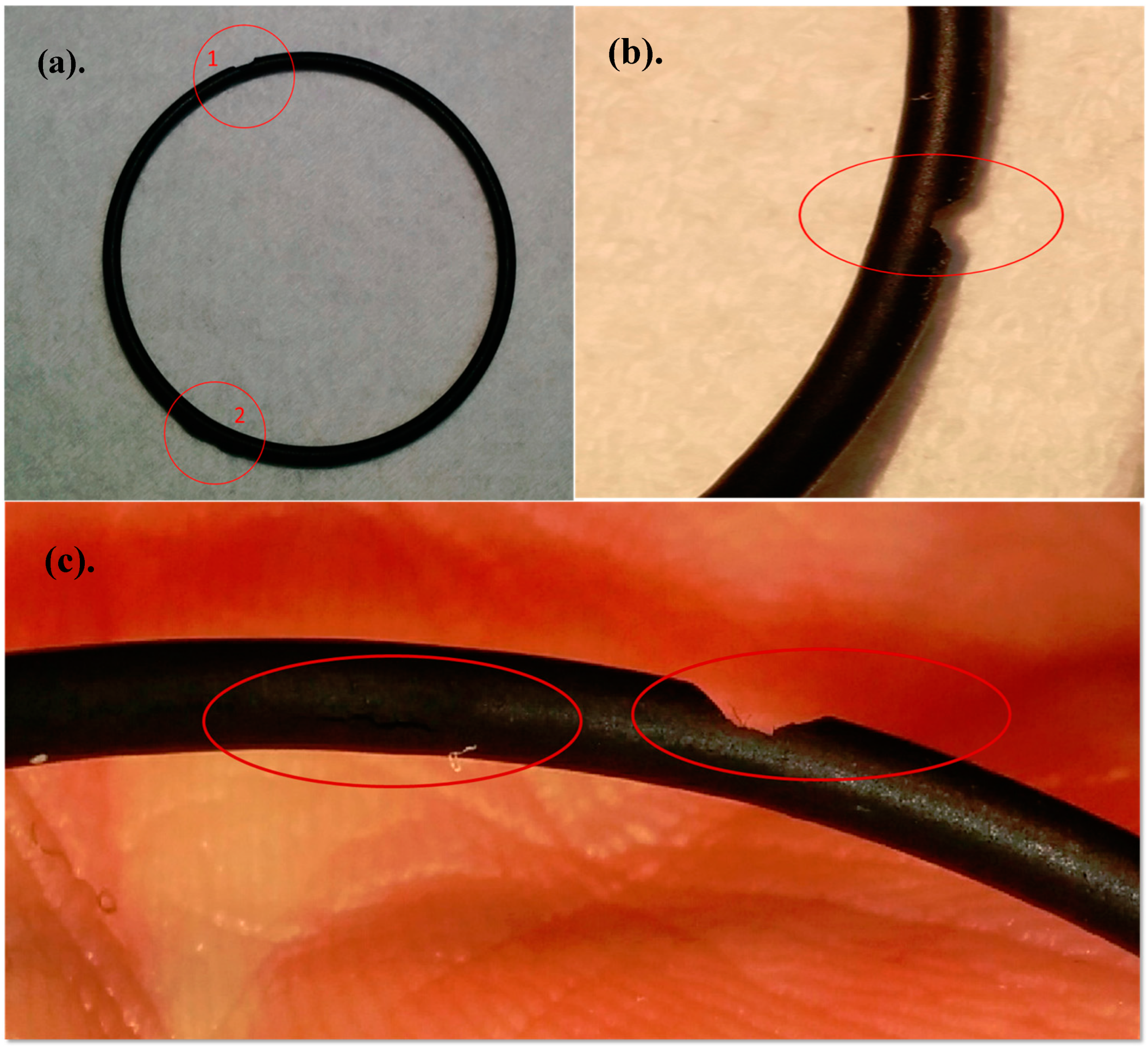 Safety 06 00015 g005