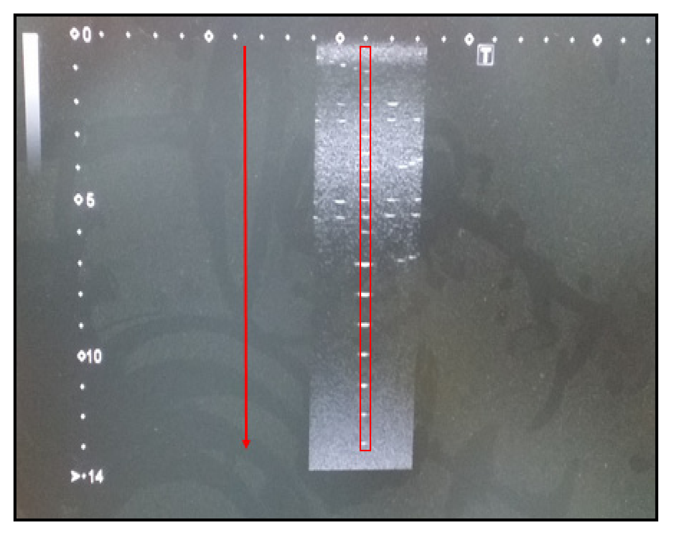 Safety 07 00031 g004