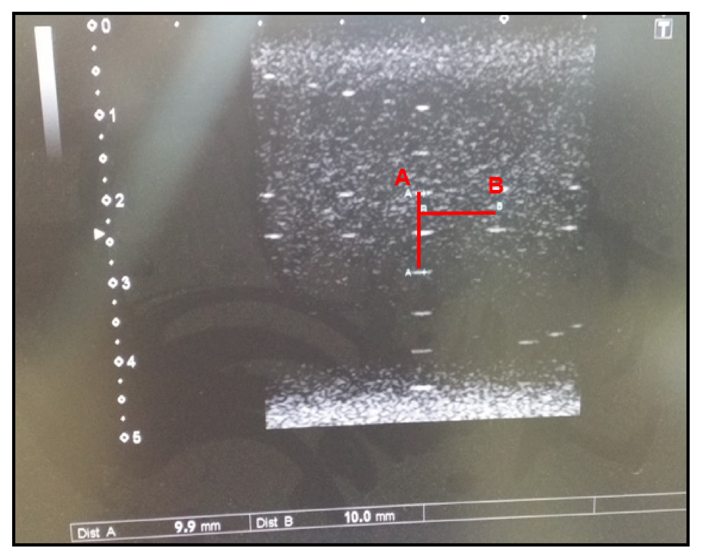 Safety 07 00031 g005