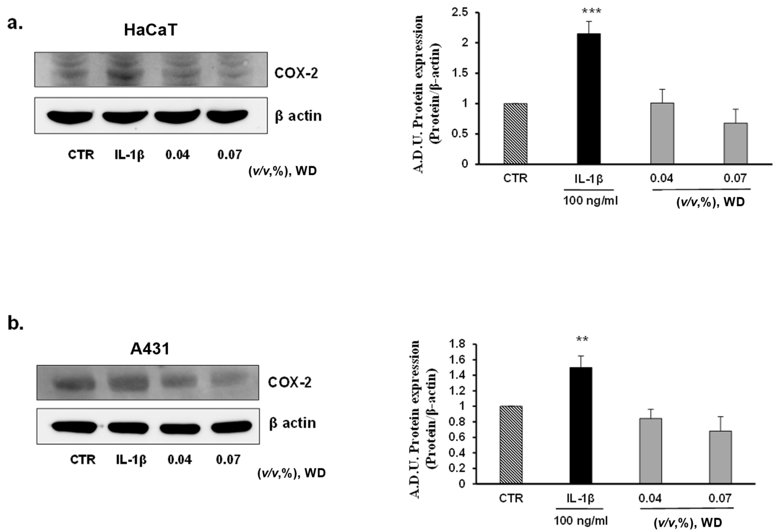 Safety 07 00079 g005a