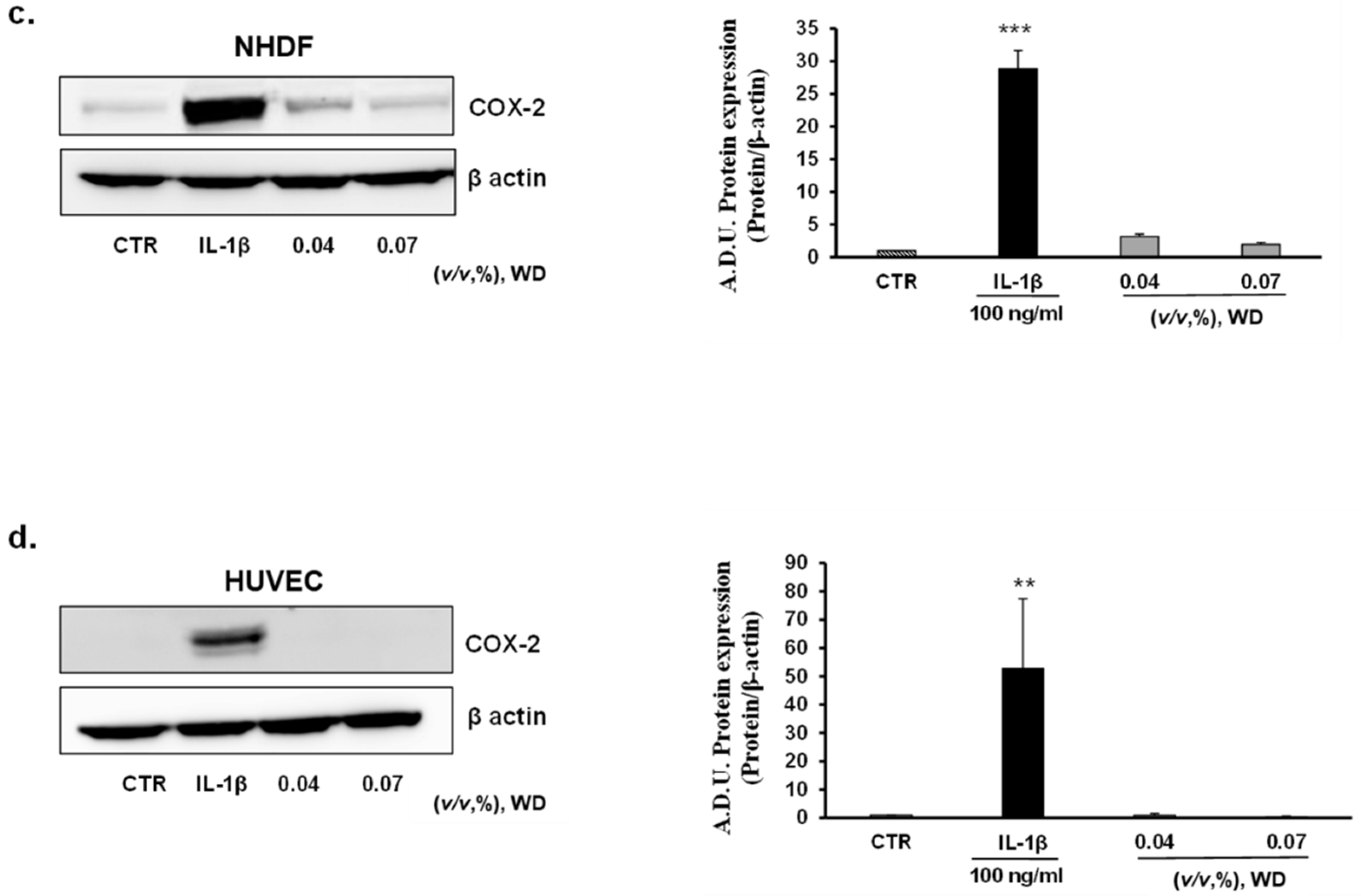 Safety 07 00079 g005b