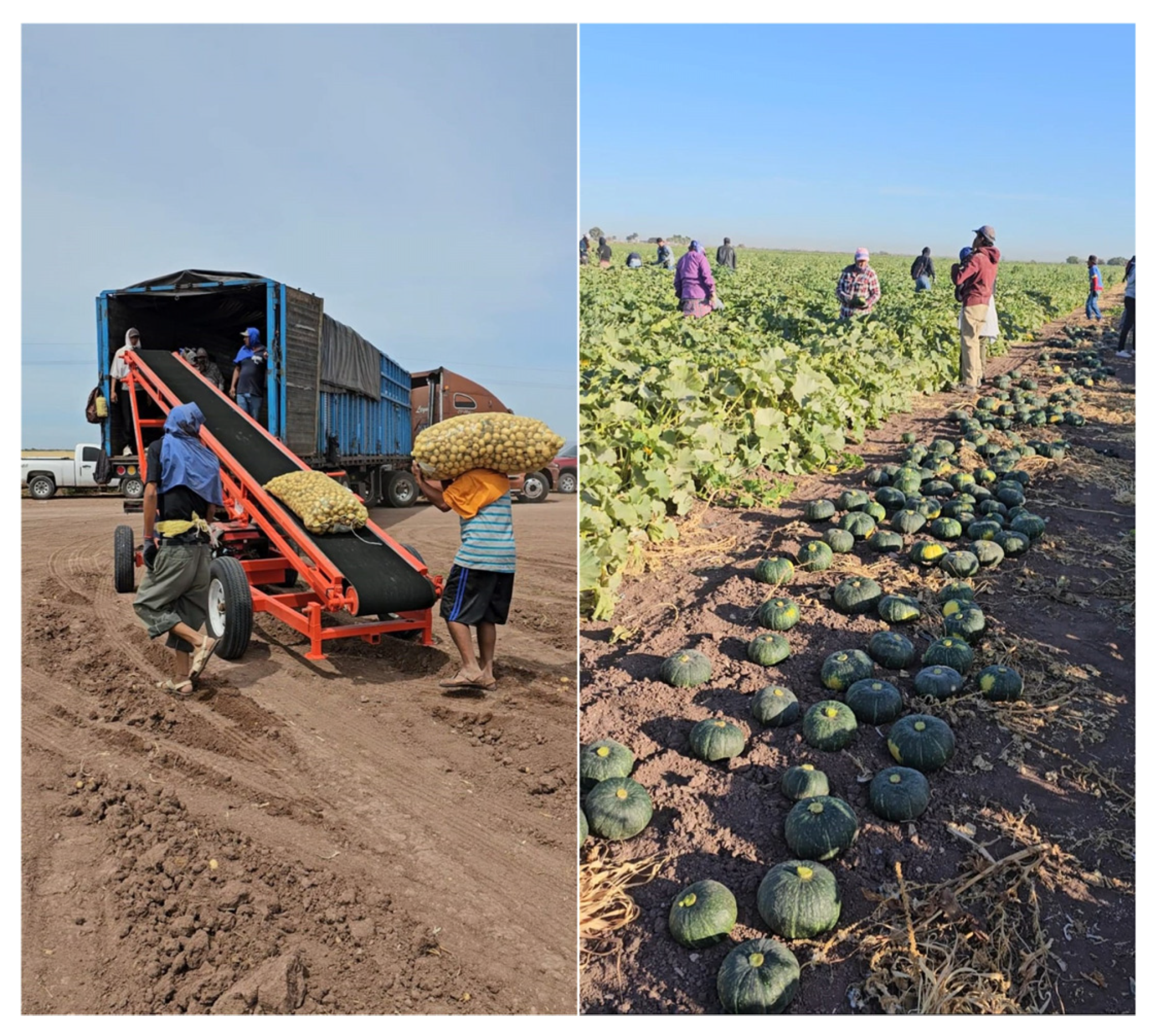 Safety 10 00061 g001