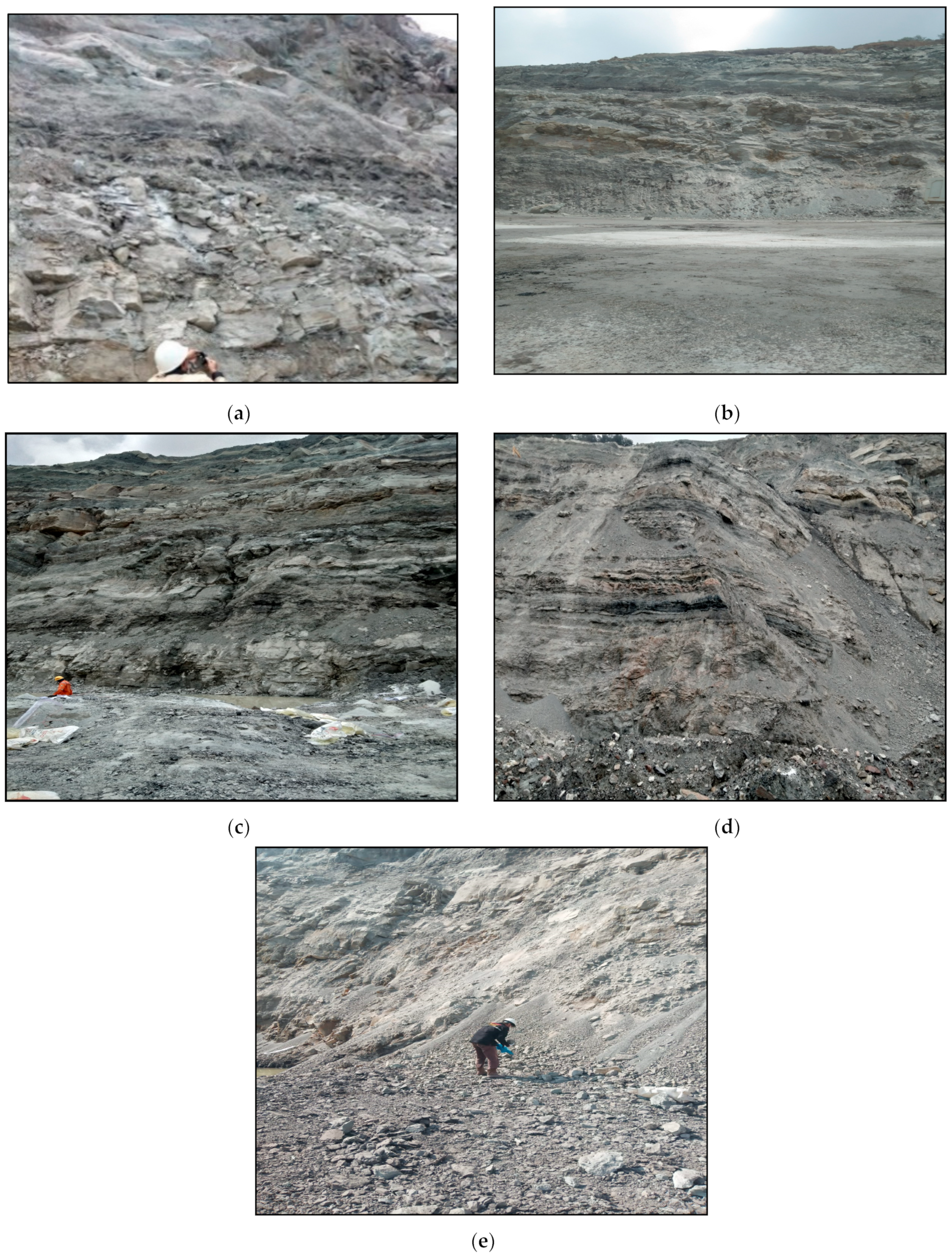 Safety 10 00101 g005