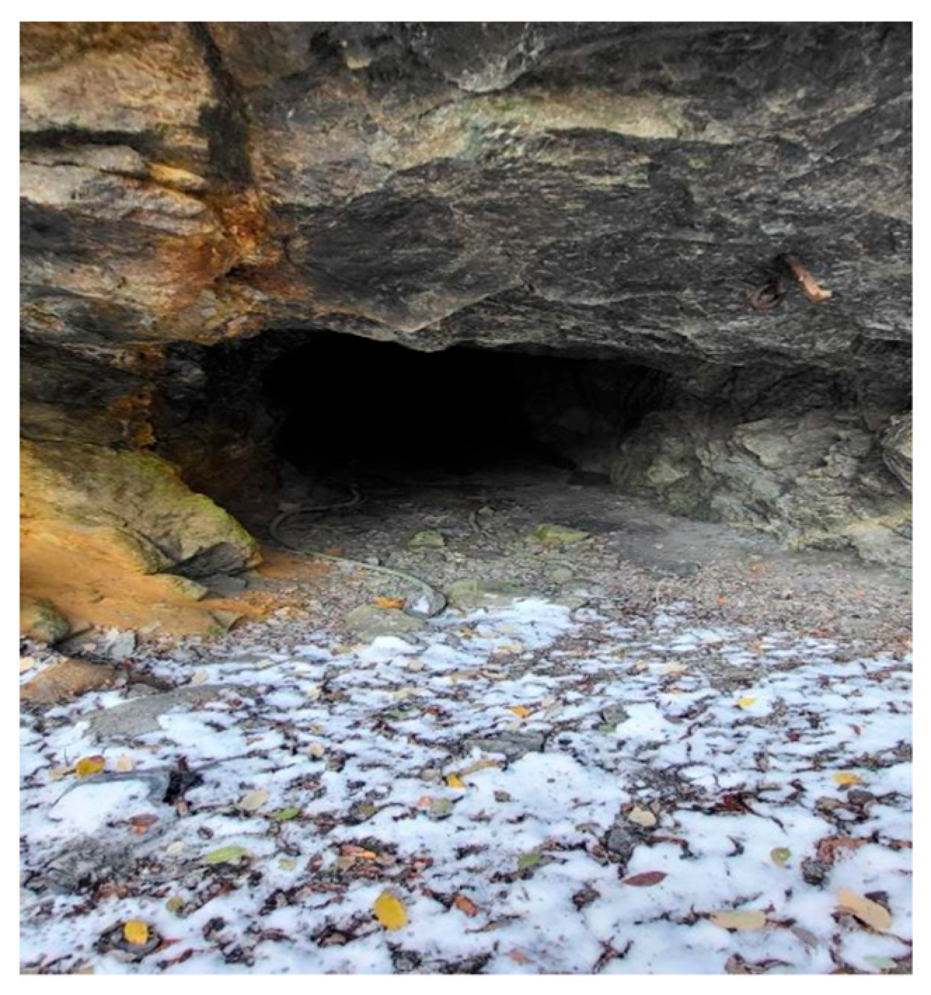 Safety 11 00083 g002 Safety 11 00083 g002