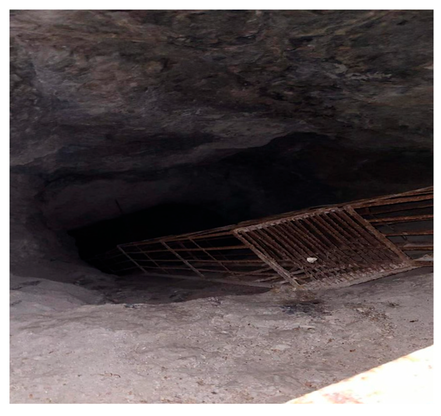 Safety 11 00083 g004 Safety 11 00083 g004