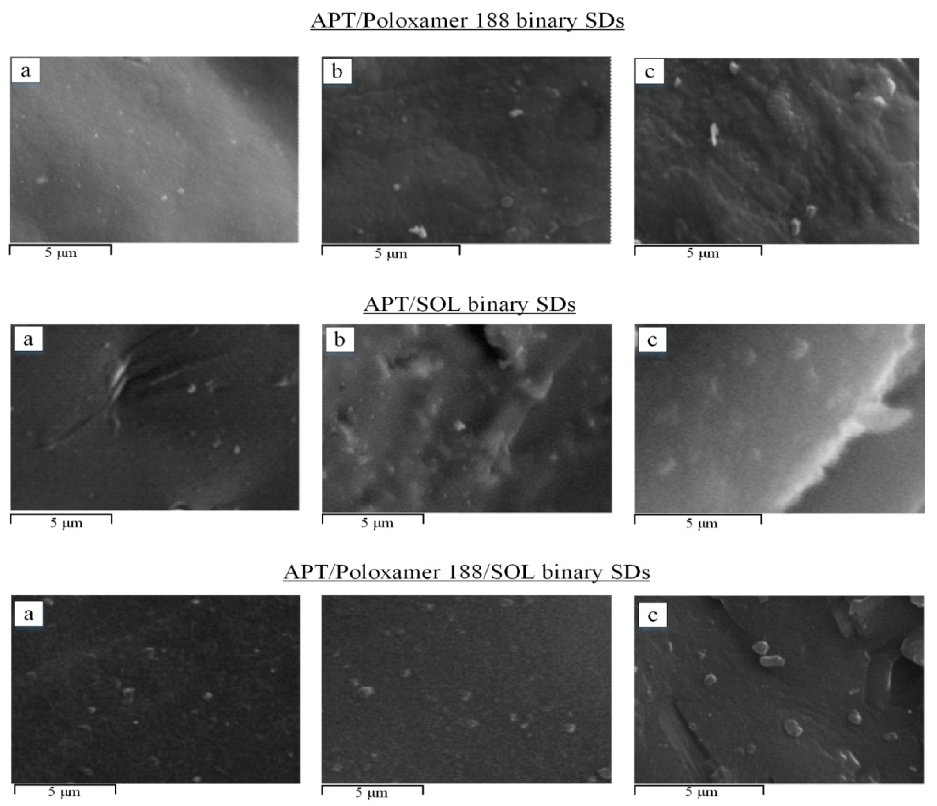 Sci 01 00048 g007