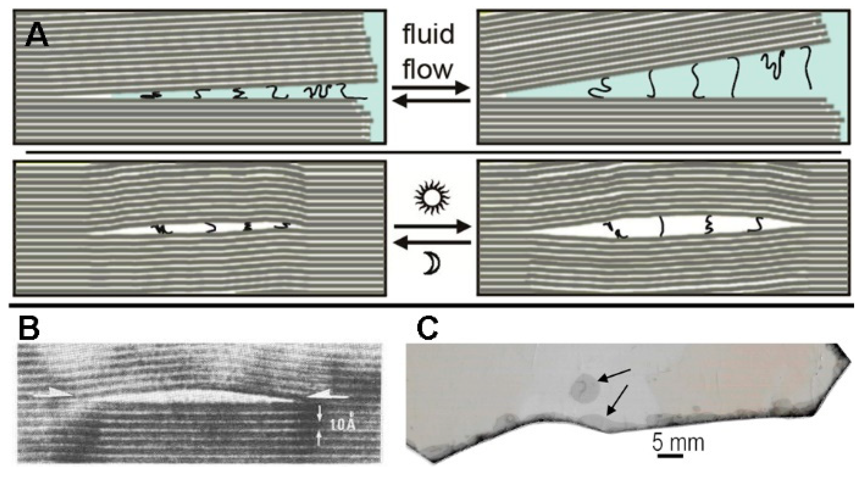 Sci 02 00088 g002 Sci 02 00088 g002