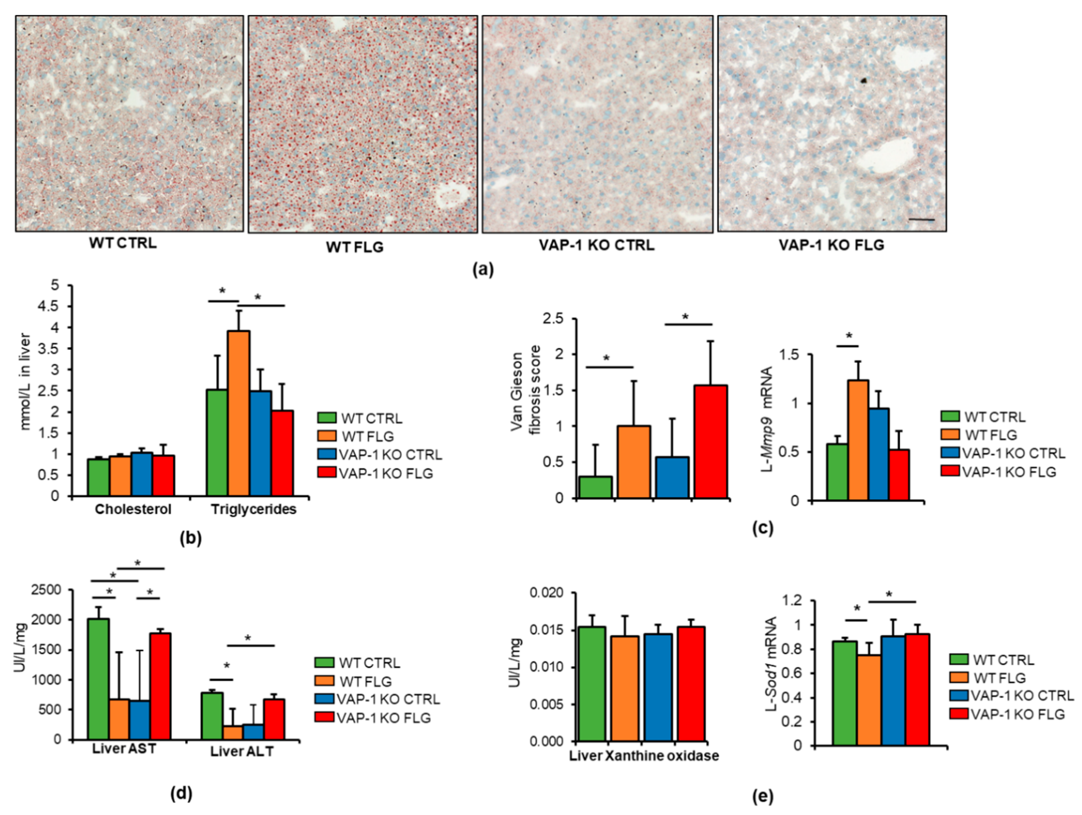 Sci 03 00013 g002 Sci 03 00013 g002