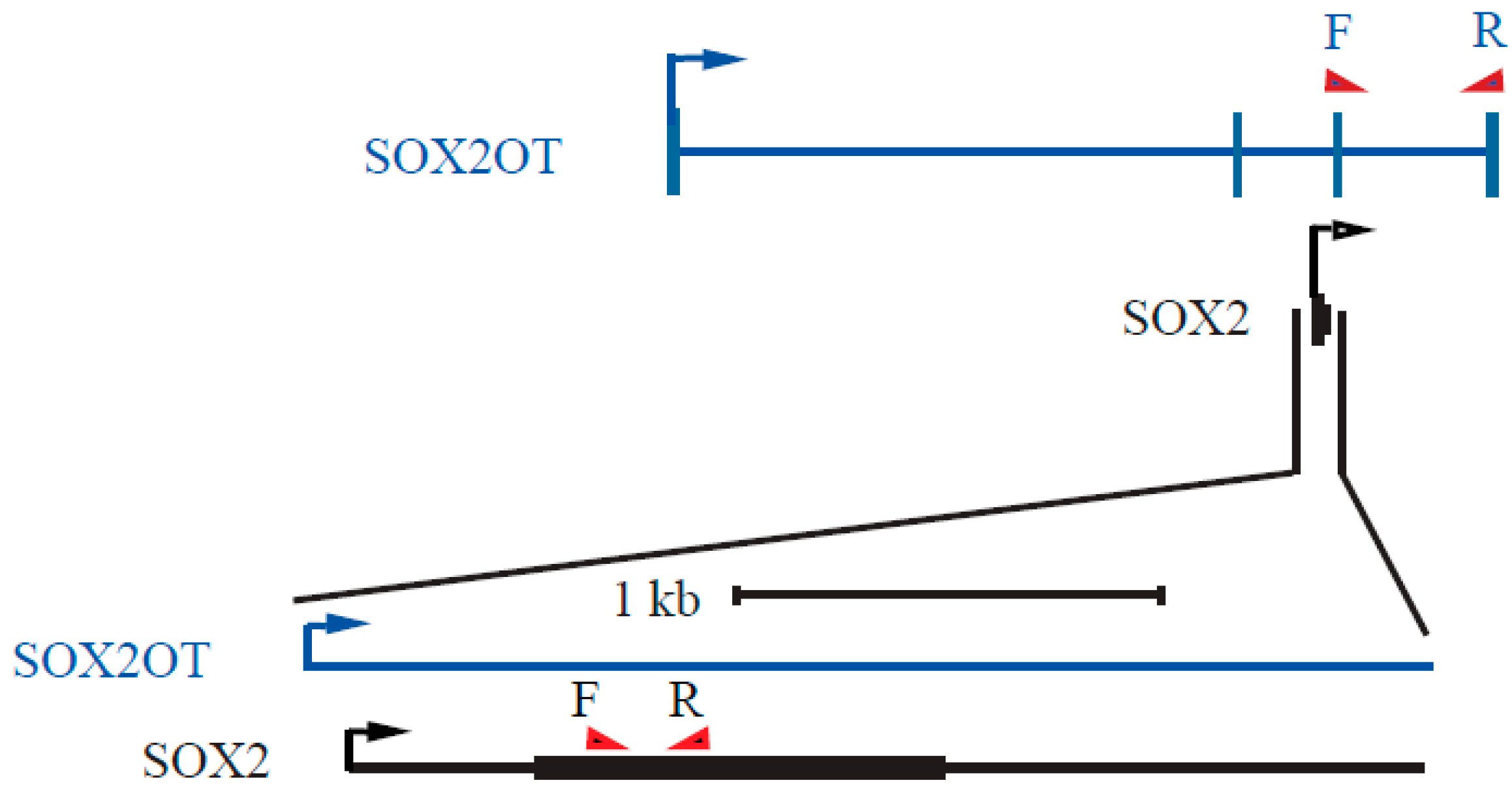 Sci 03 00026 g001 Sci 03 00026 g001