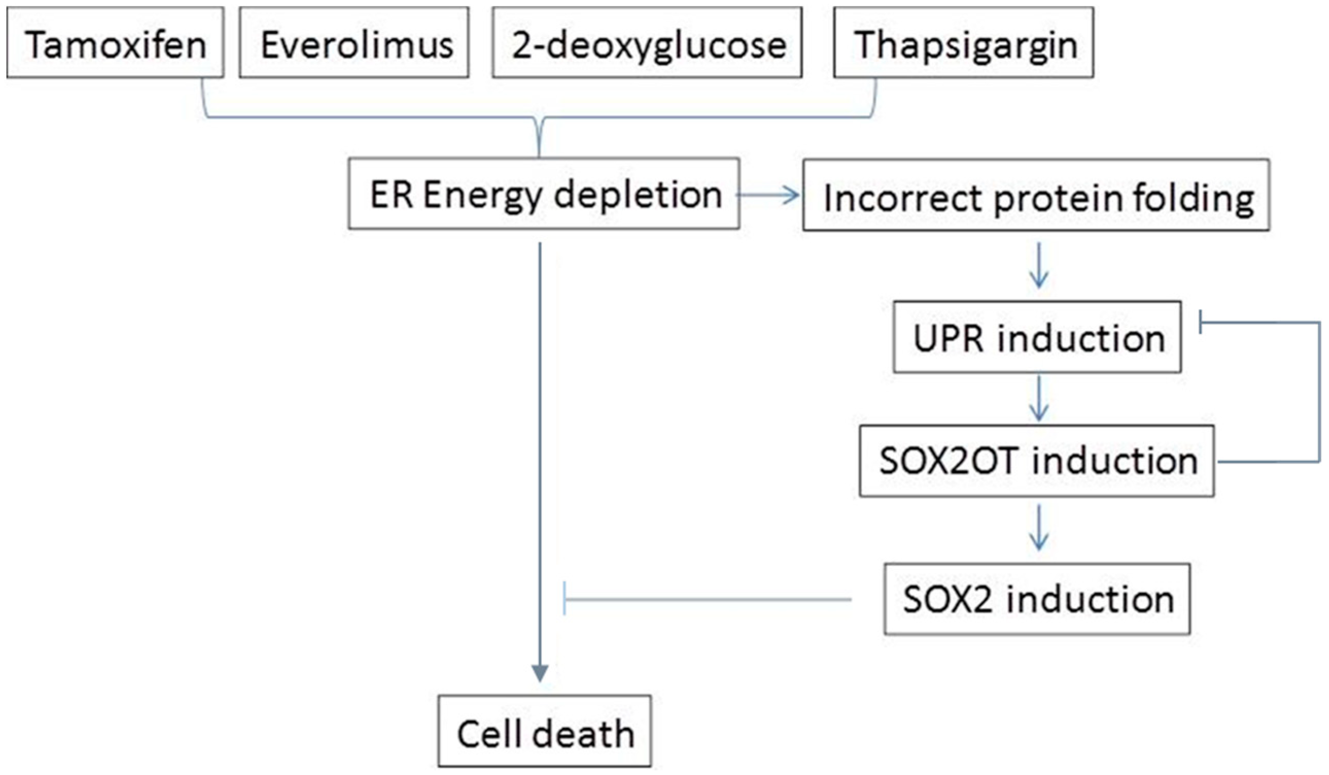 Sci 03 00026 g007 Sci 03 00026 g007