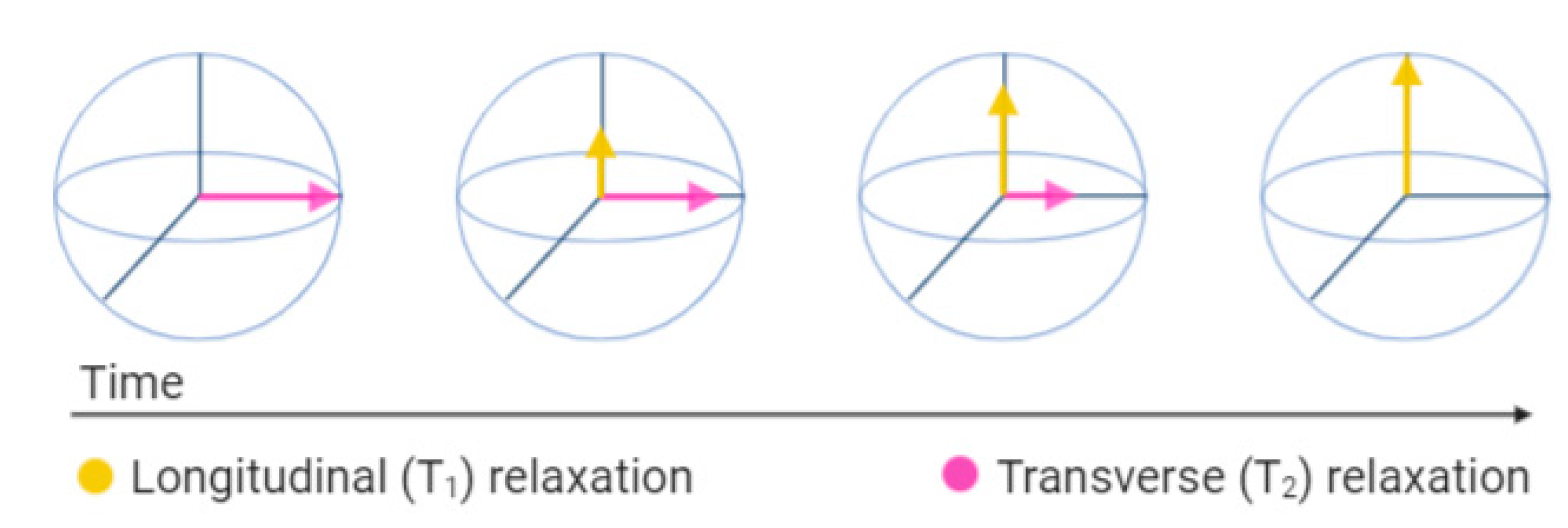 Sci 04 00011 g002 550