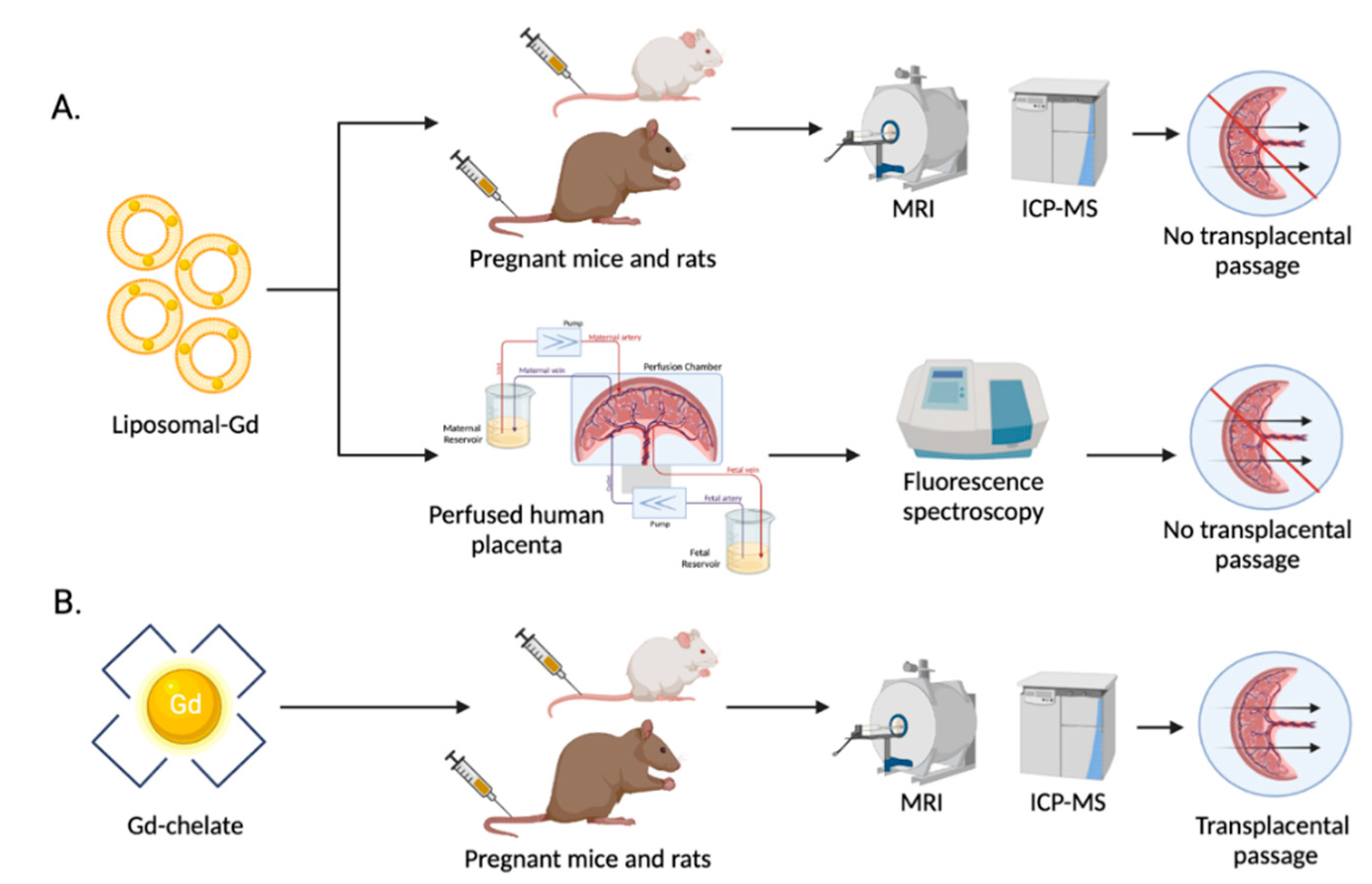 Sci 04 00011 g004 550