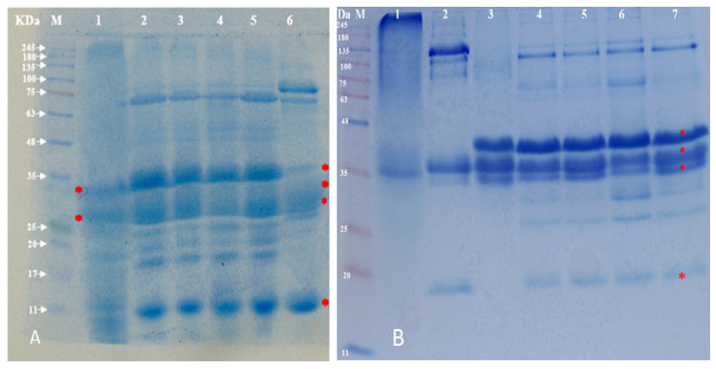 Sci 05 00002 g002 Sci 05 00002 g002