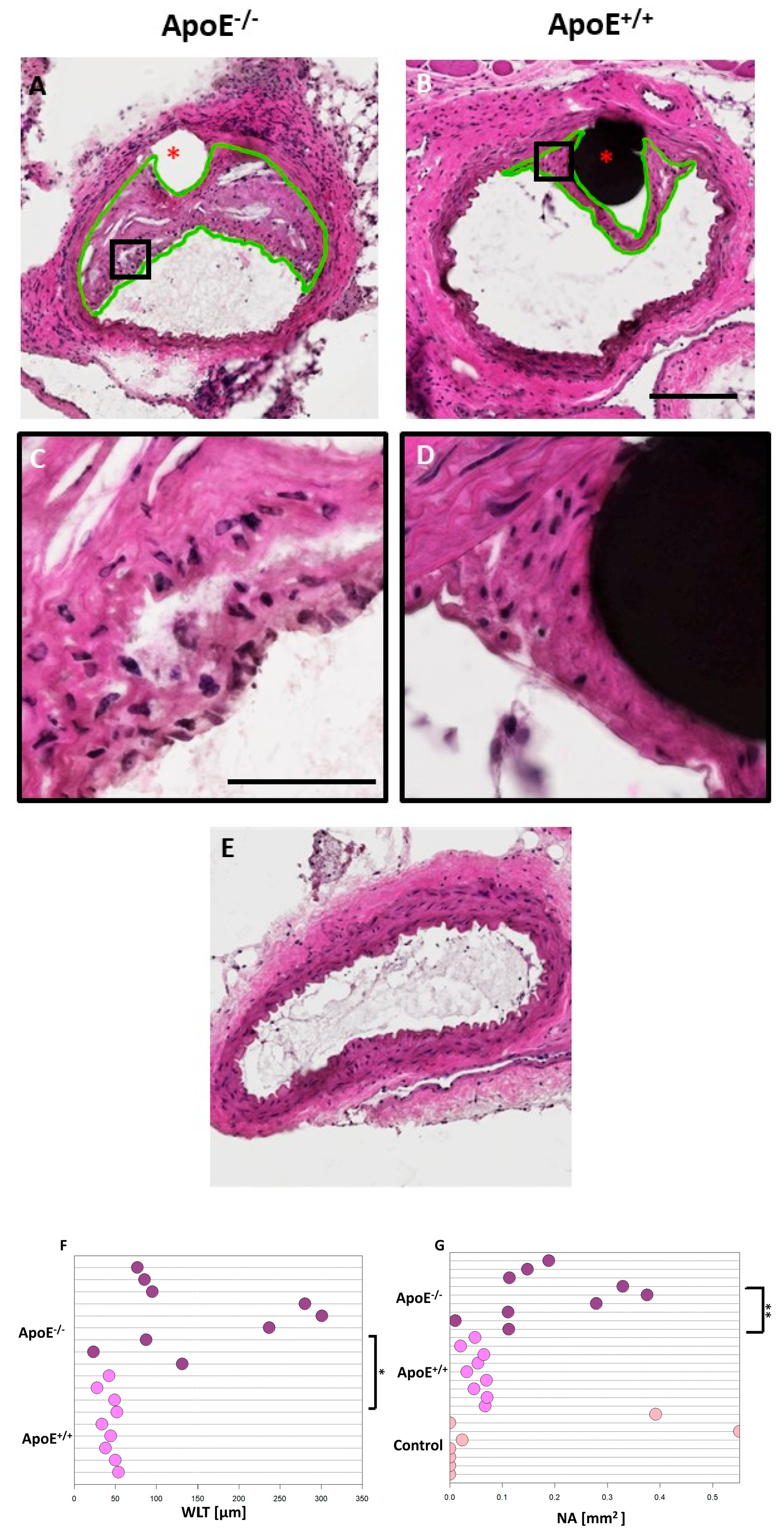 Sci 05 00025 g002 Sci 05 00025 g002