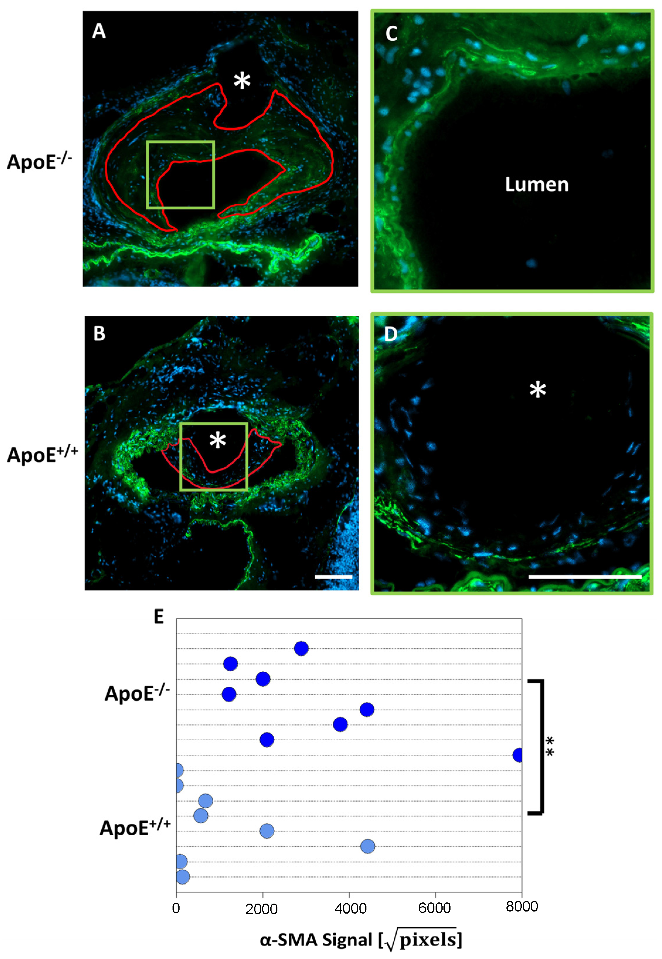 Sci 05 00025 g004 Sci 05 00025 g004