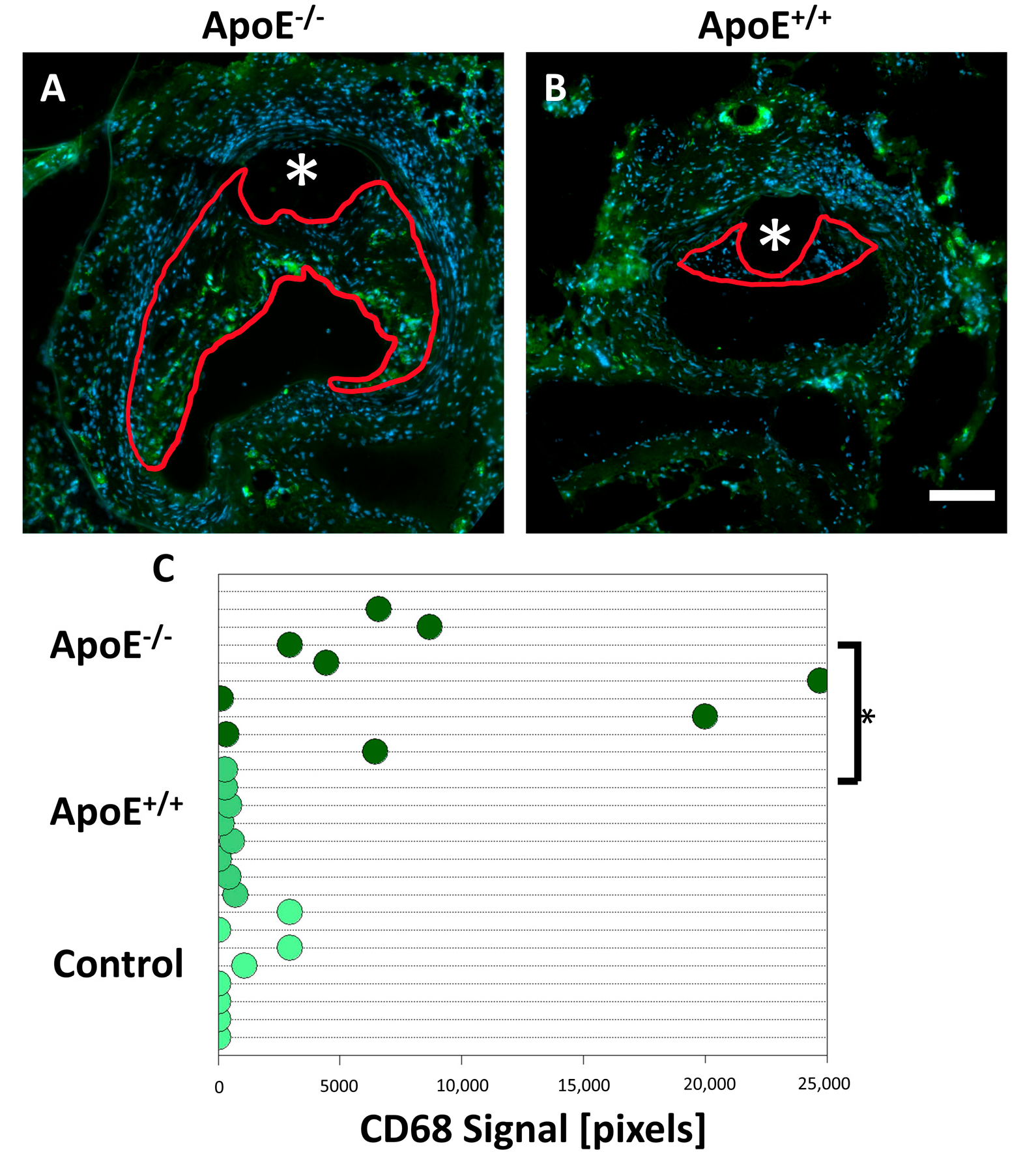 Sci 05 00025 g005 Sci 05 00025 g005