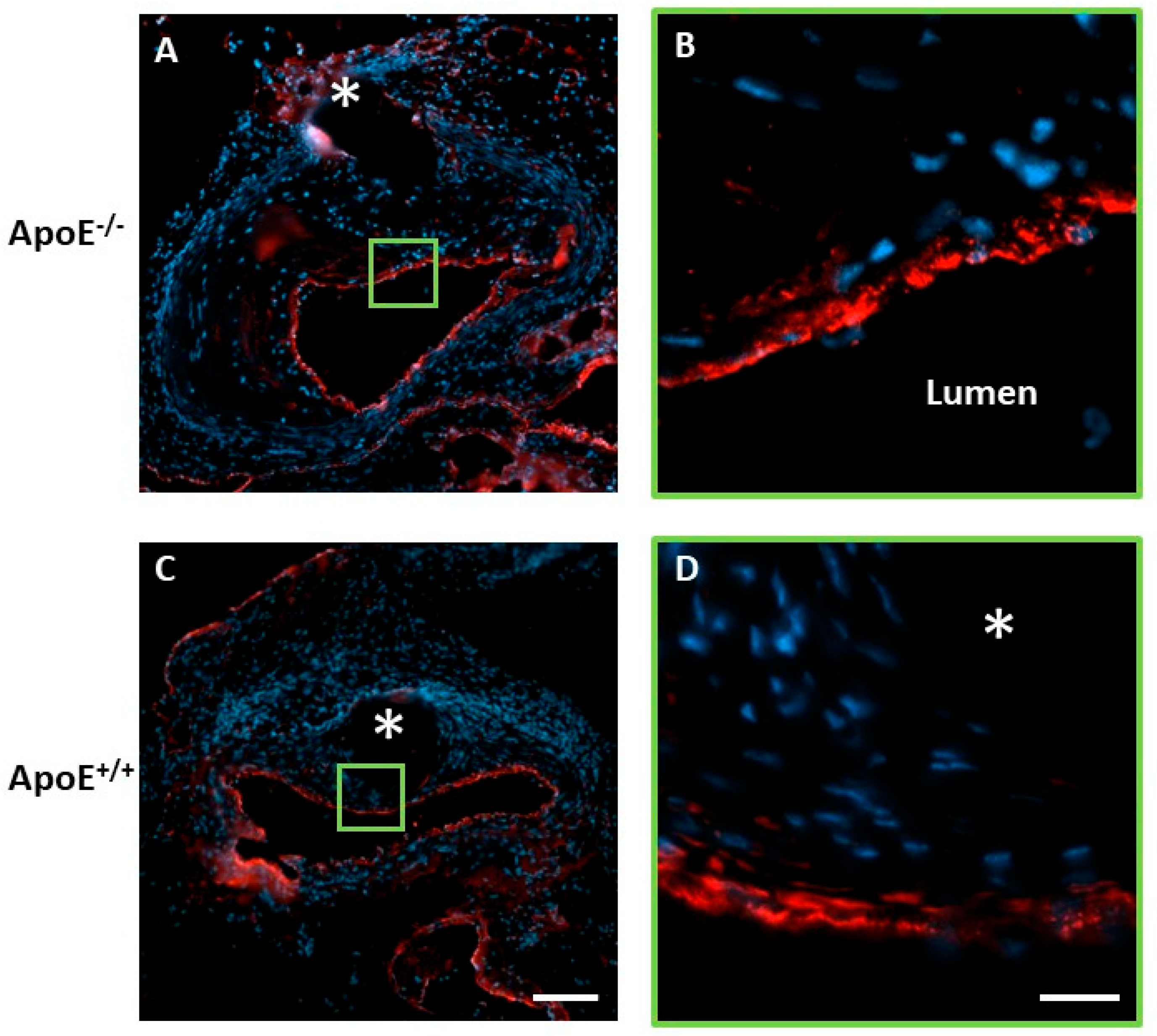 Sci 05 00025 g006 Sci 05 00025 g006