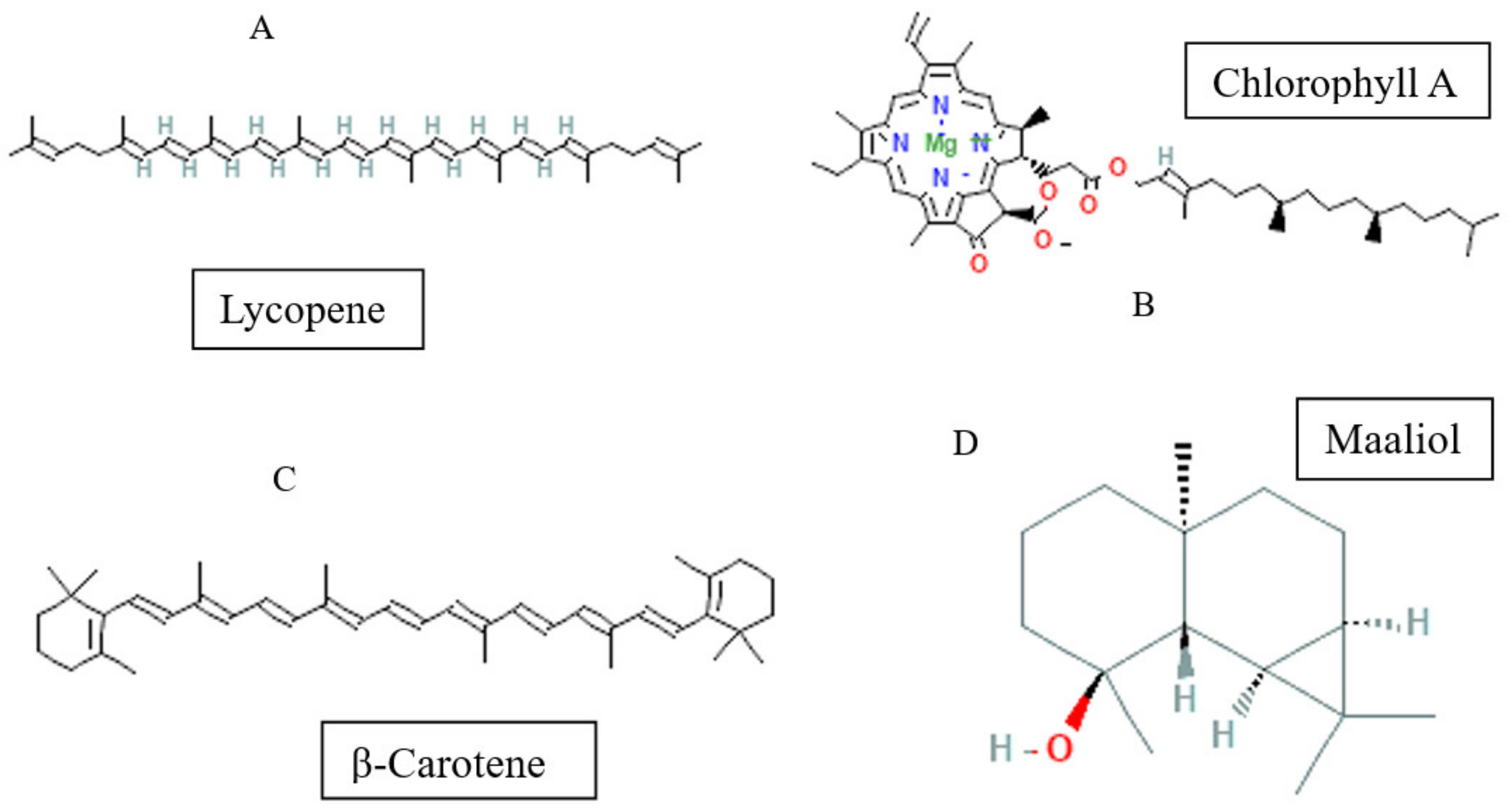 Sci 06 00007 g005 Sci 06 00007 g005