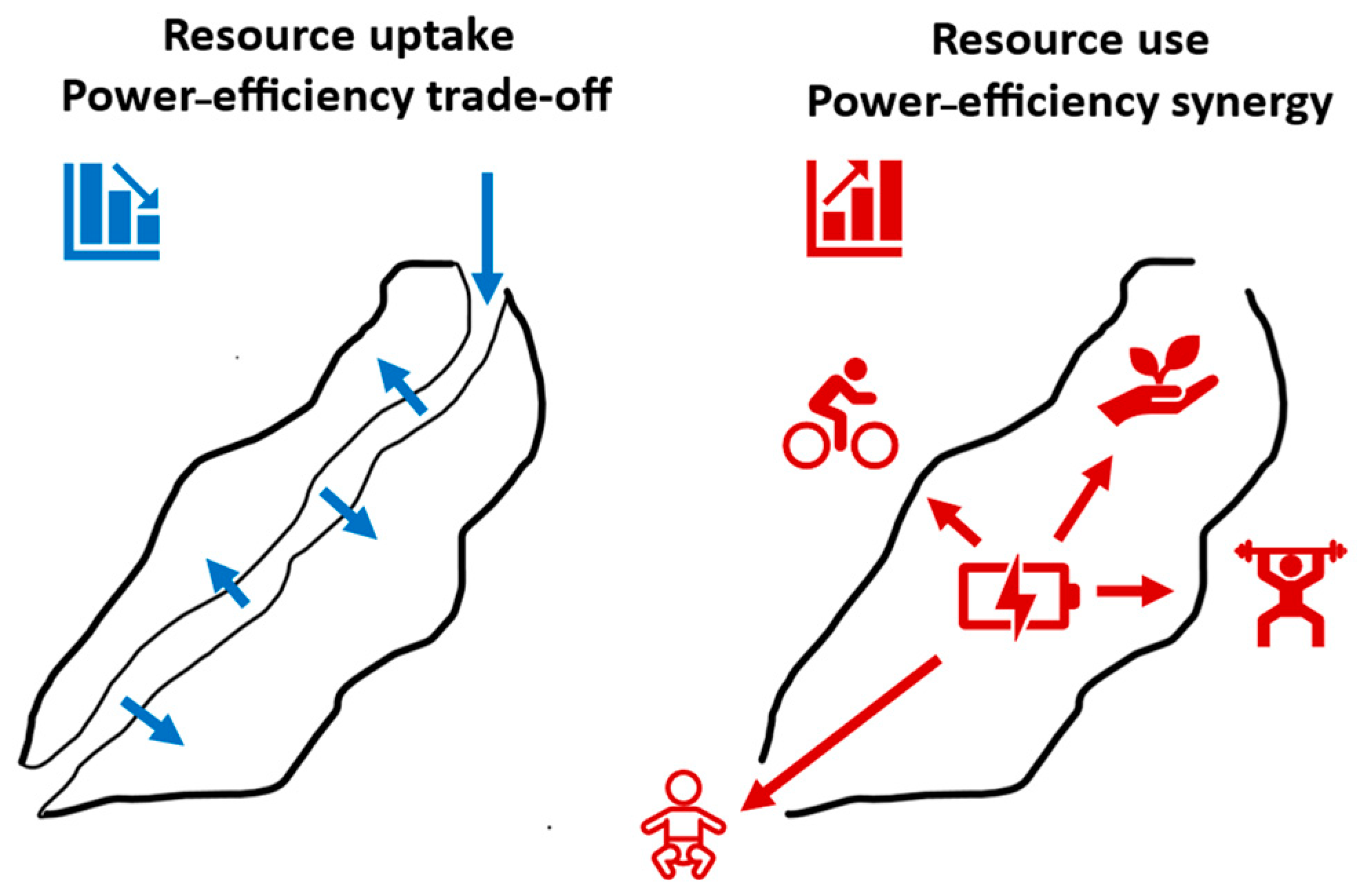 Sci 06 00028 g007 Sci 06 00028 g007
