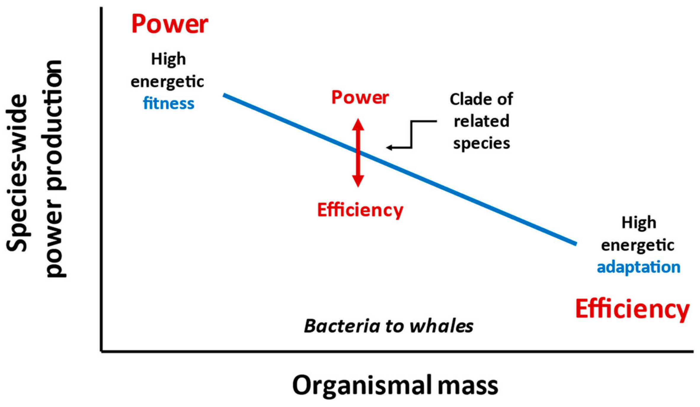 Sci 06 00028 g009 Sci 06 00028 g009