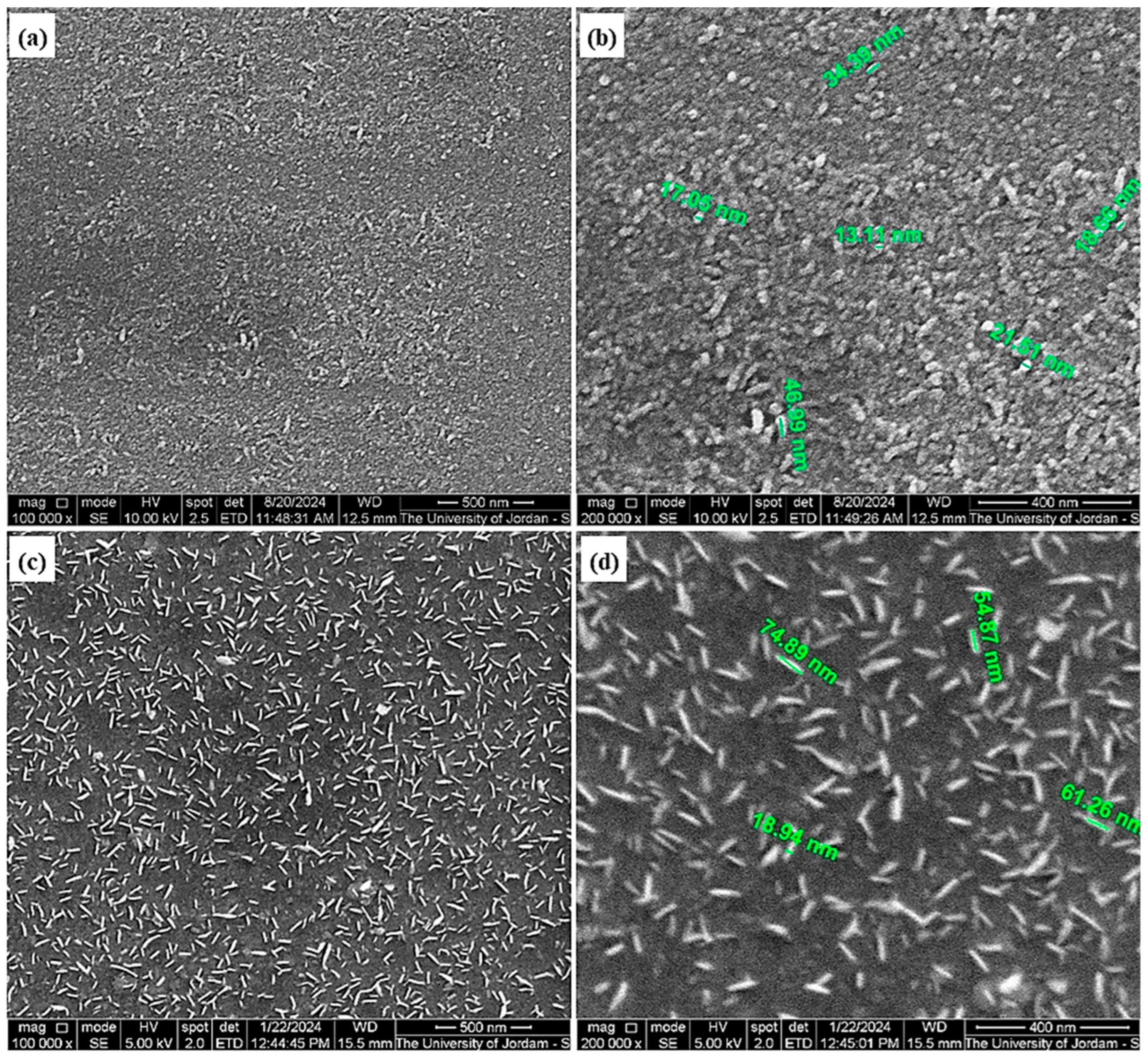 Sci 06 00061 g010 Sci 06 00061 g010