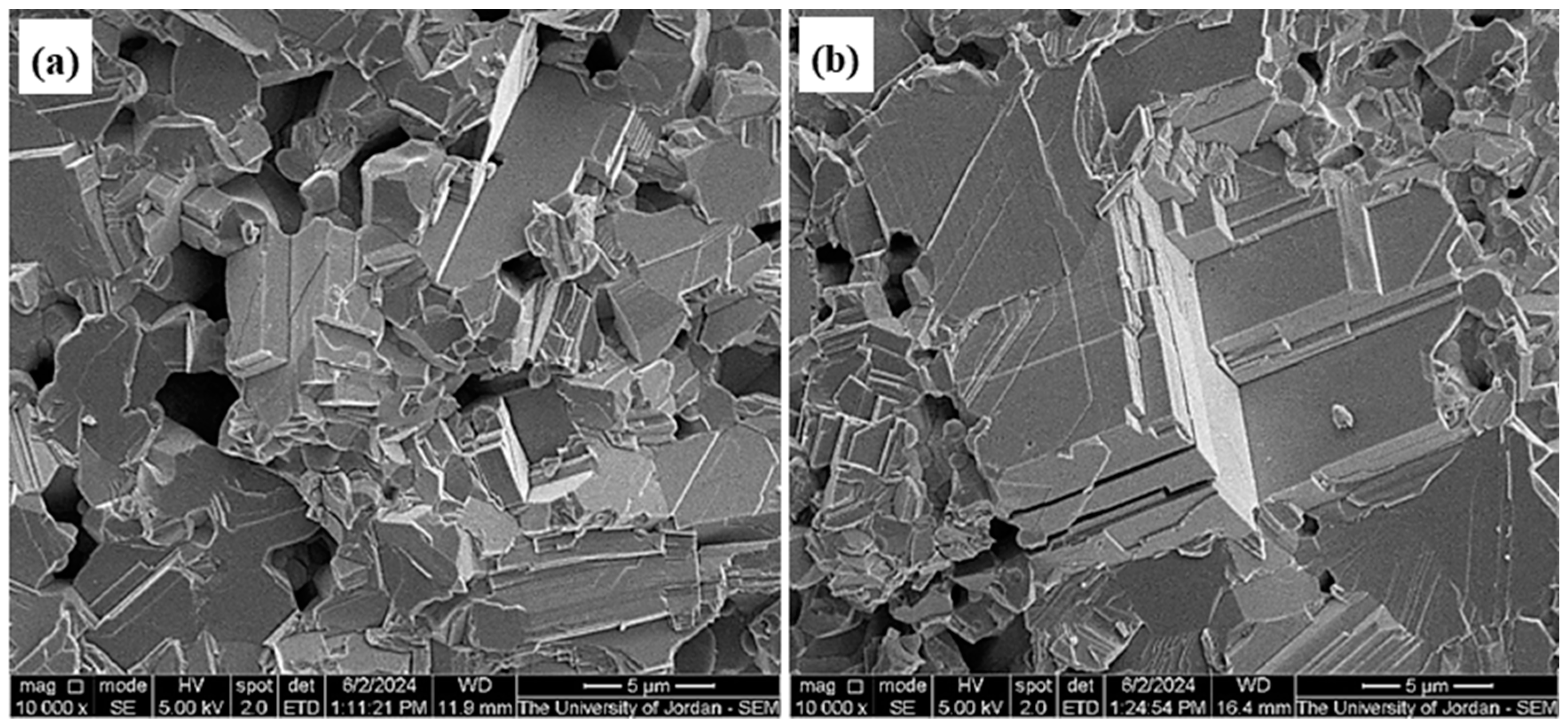 Sci 06 00061 g015 Sci 06 00061 g015