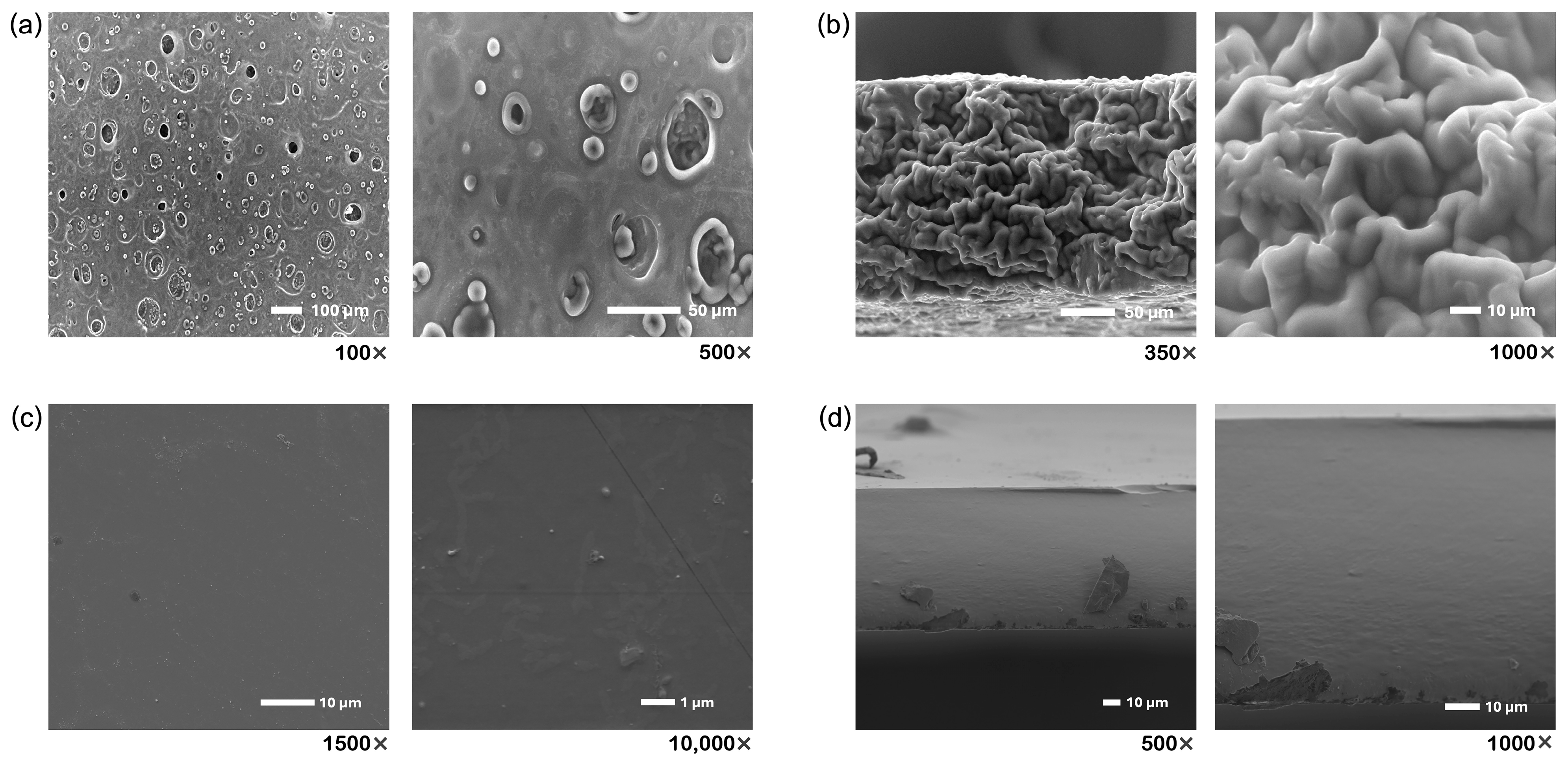 Sci 07 00022 g004 Sci 07 00022 g004