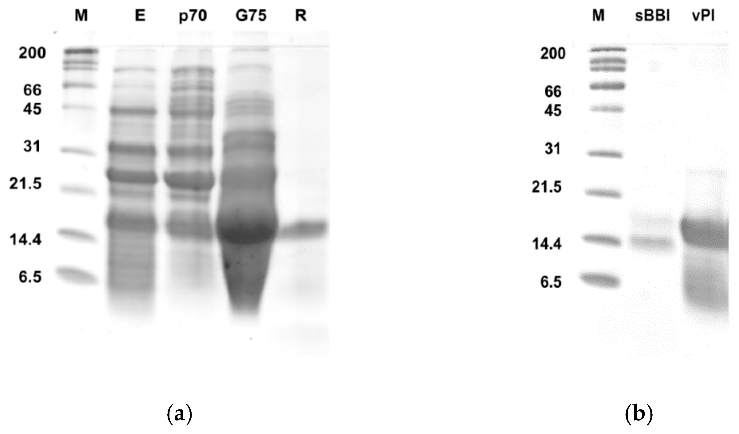 Sci 07 00129 g002 Sci 07 00129 g002