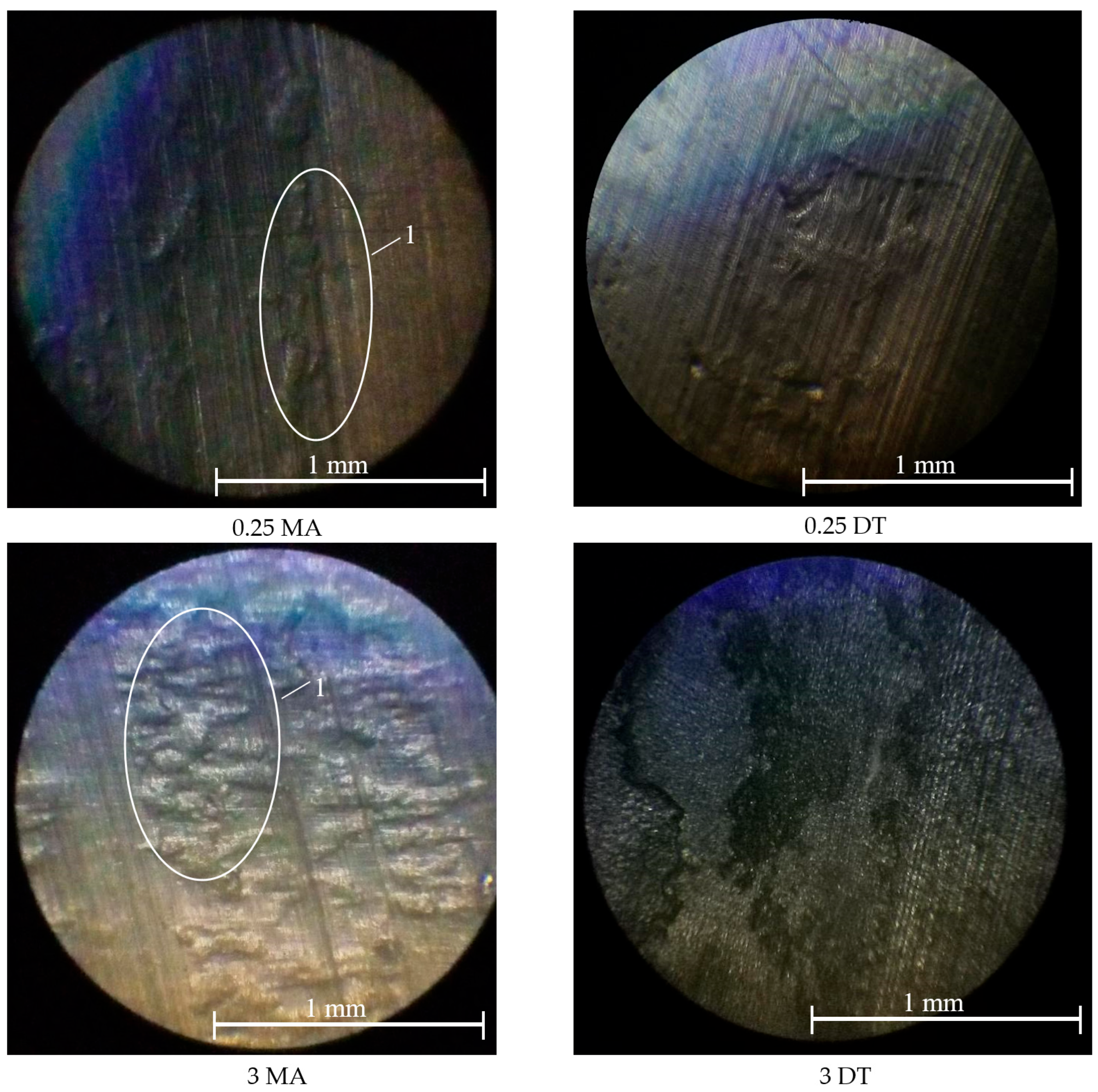 Sci 07 00178 g005 Sci 07 00178 g005