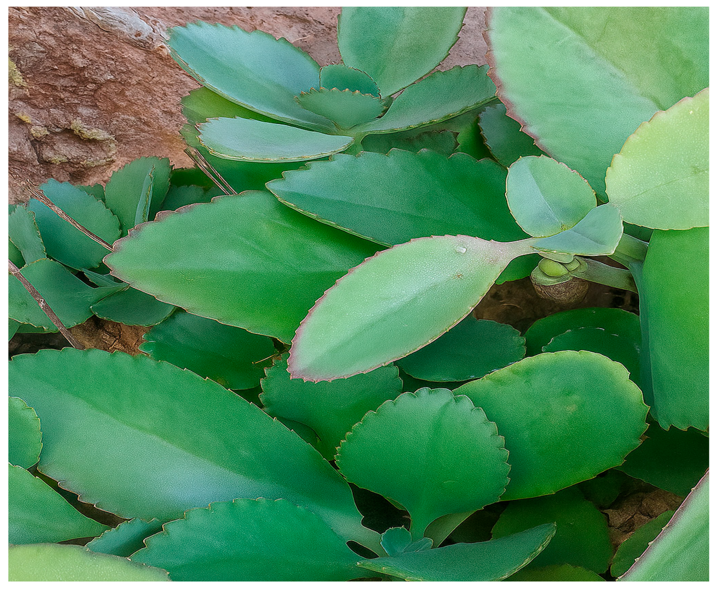 Sci 07 00180 g001 Sci 07 00180 g001